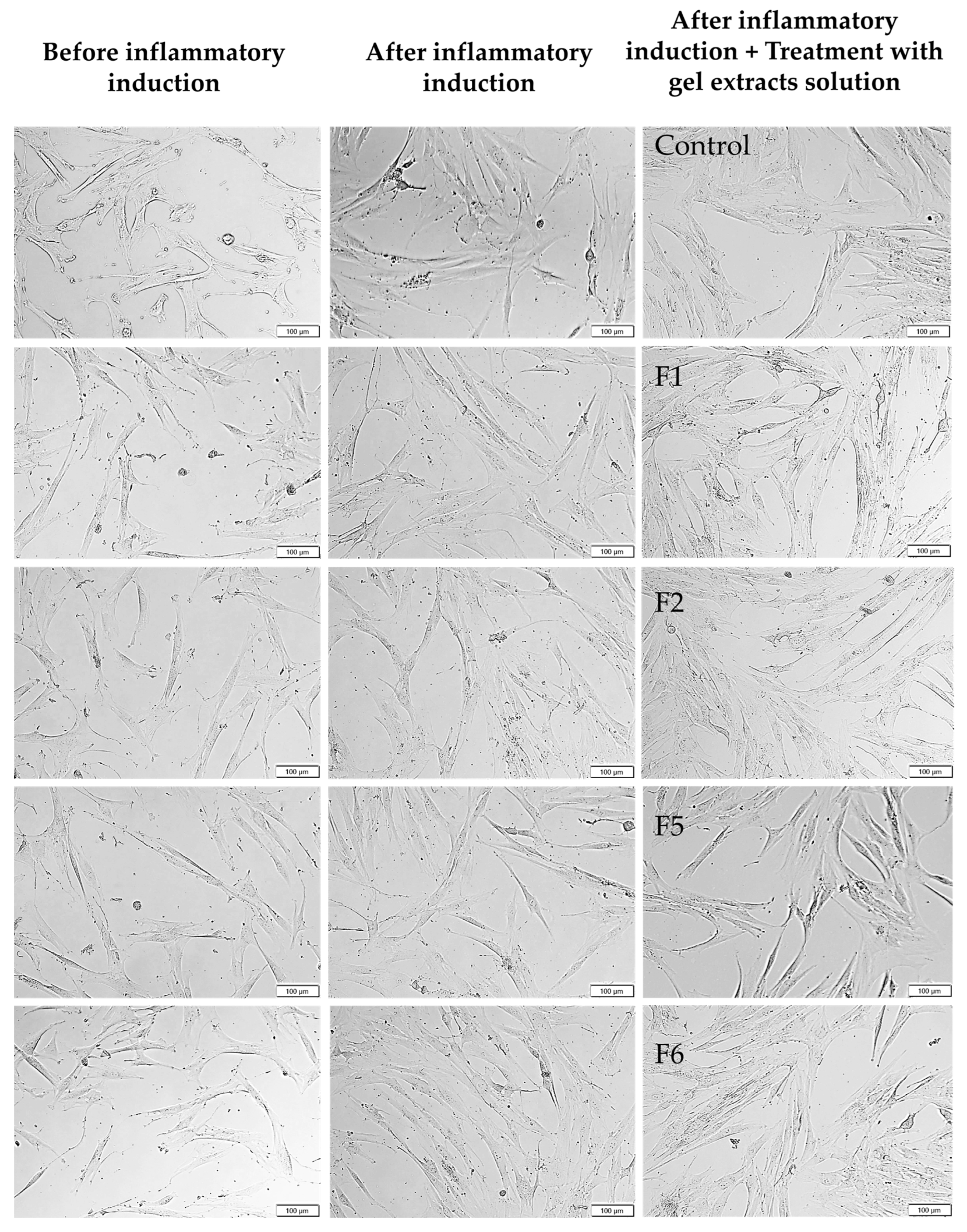 Gels 12 00188 g008 Gels 12 00188 g008