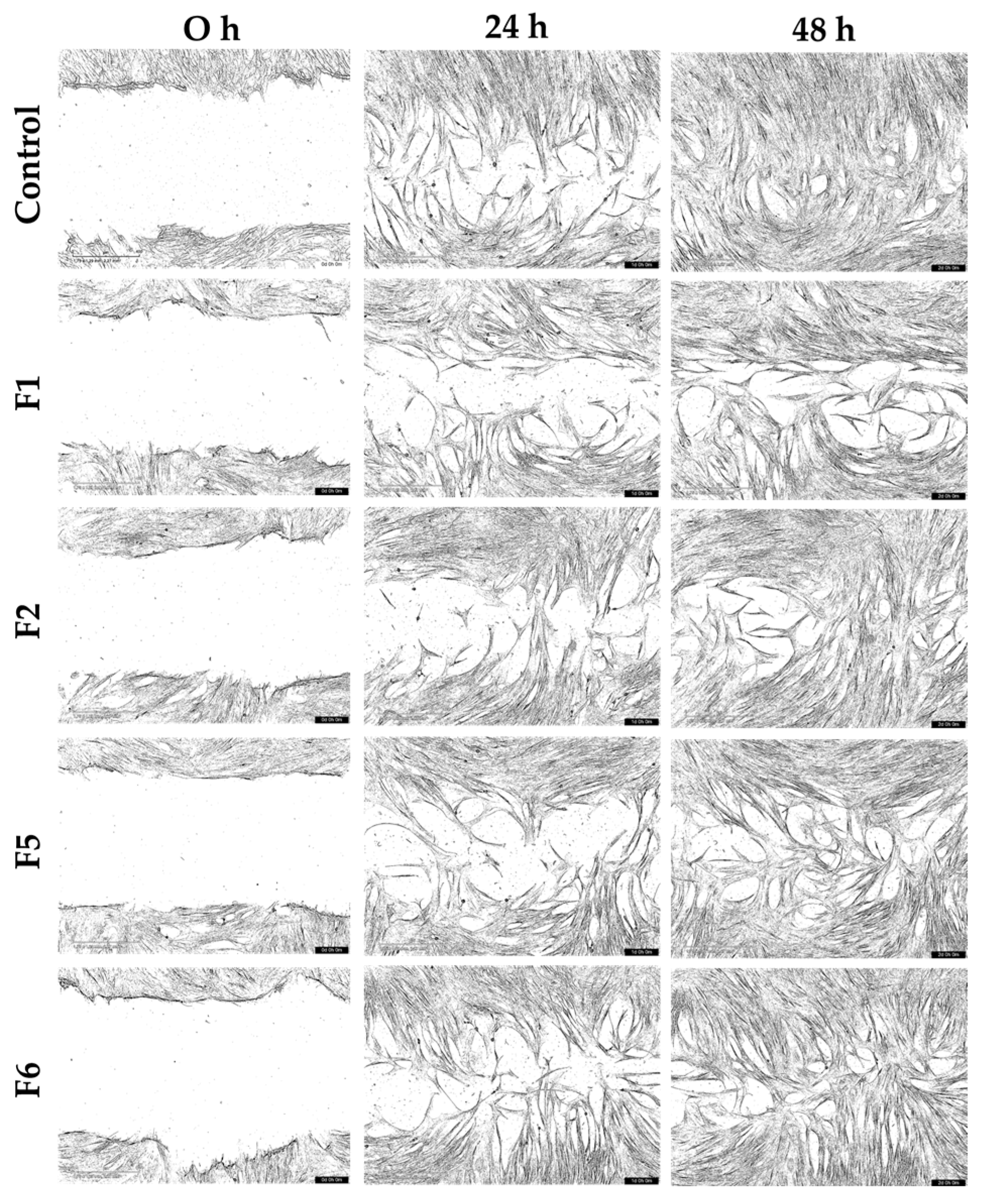 Gels 12 00188 g010 Gels 12 00188 g010