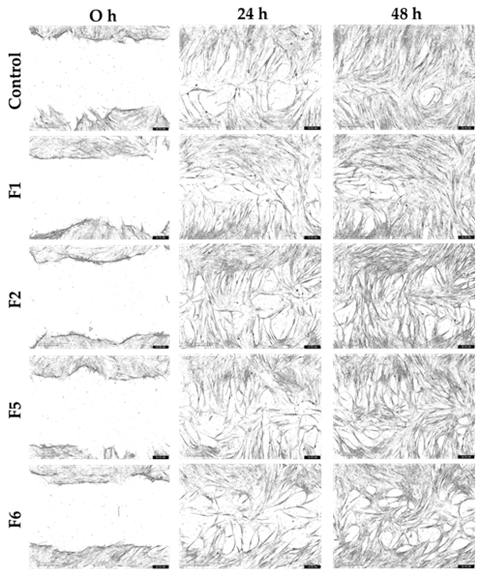 Gels 12 00188 g012 Gels 12 00188 g012