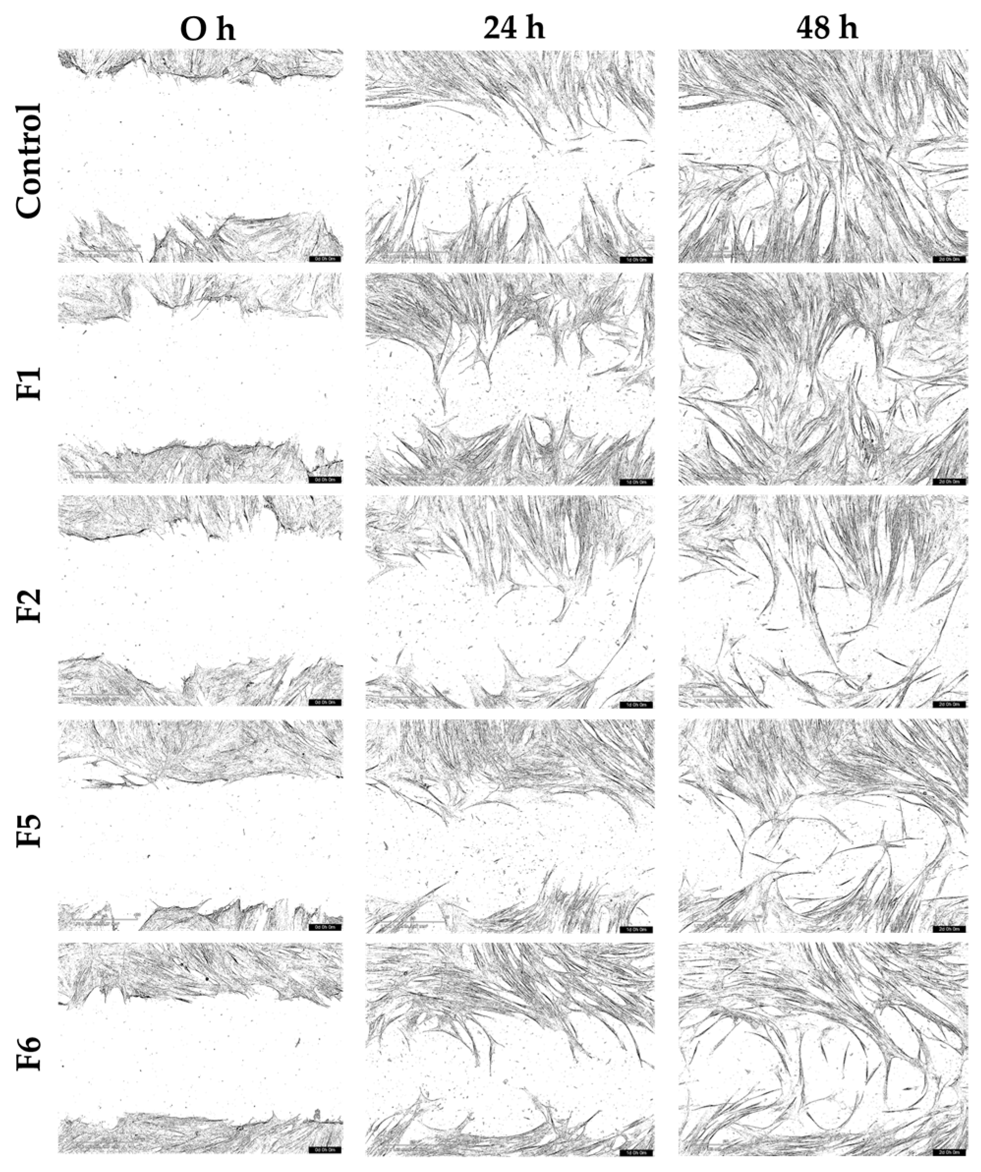 Gels 12 00188 g013 Gels 12 00188 g013