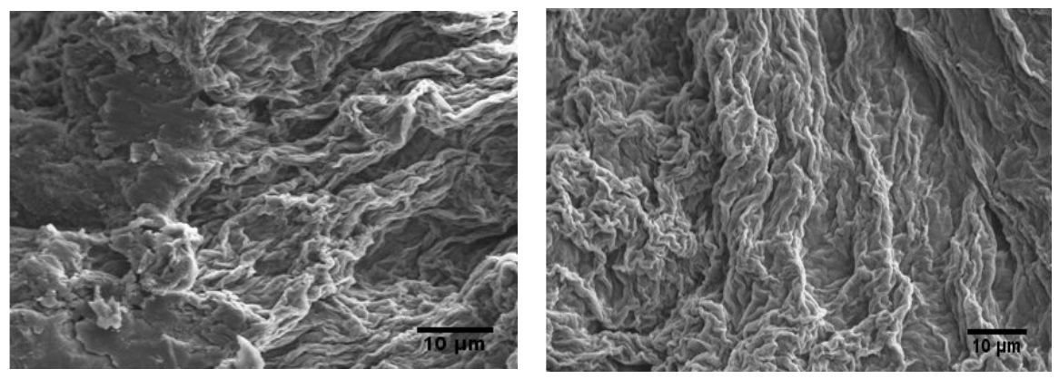 Gels 12 00337 g006b Gels 12 00337 g006b