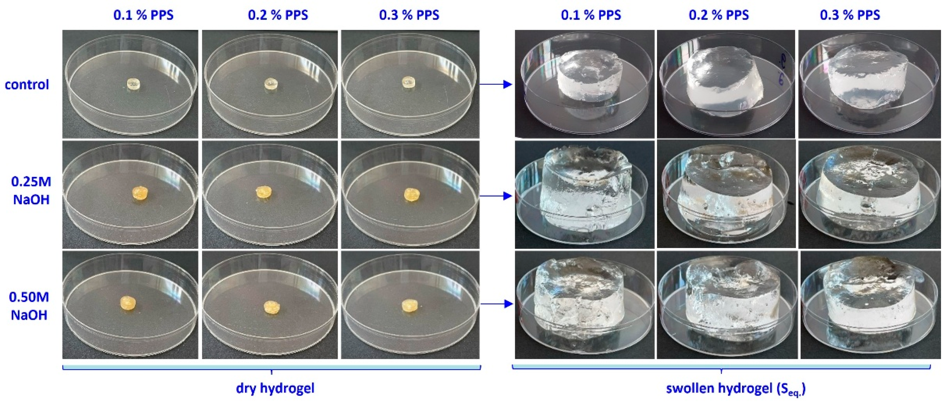 Gels 12 00395 g009 Gels 12 00395 g009