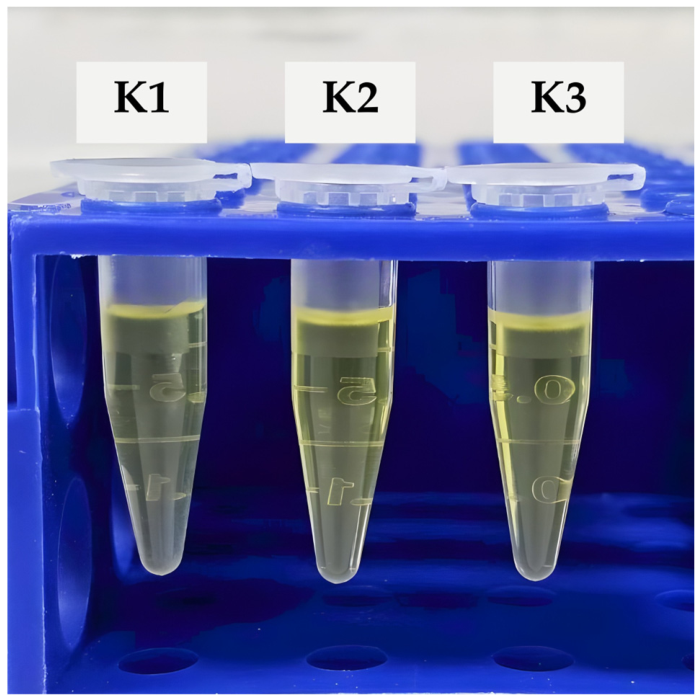 Gels 12 00415 g003 Gels 12 00415 g003