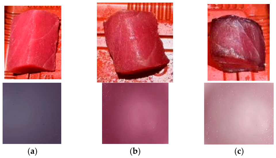 Gels 12 00465 g009 Gels 12 00465 g009