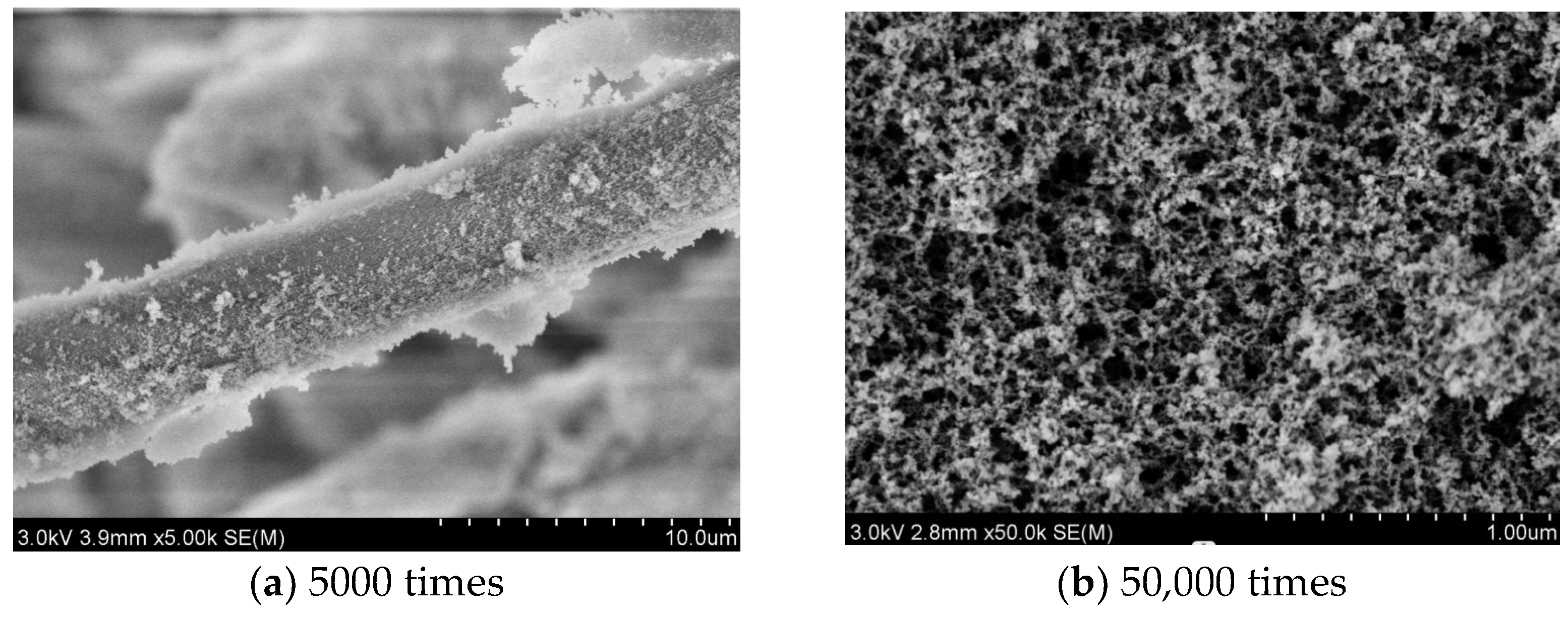 Gels 12 00507 g007