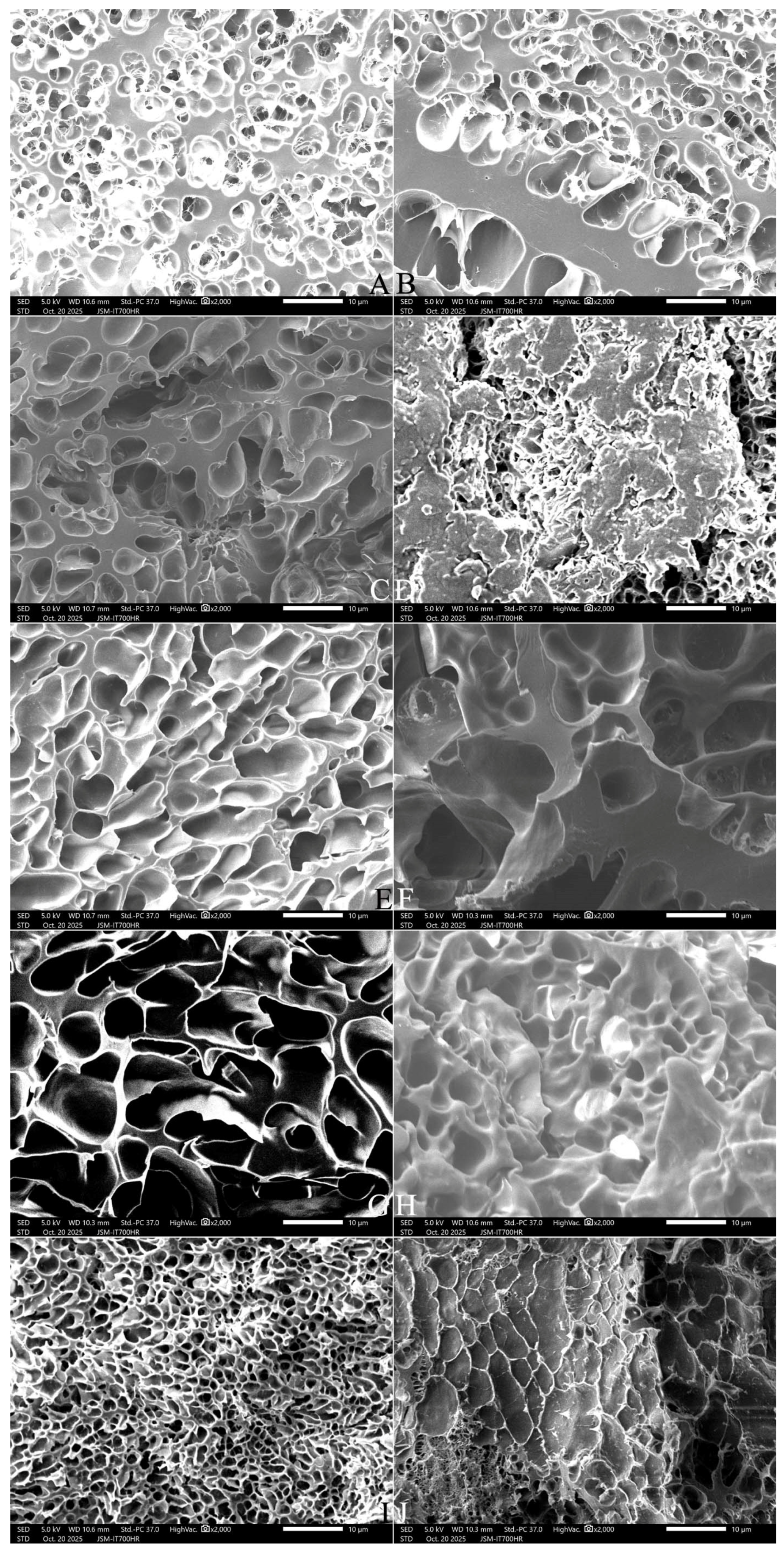 Gels 12 00516 g006 Gels 12 00516 g006