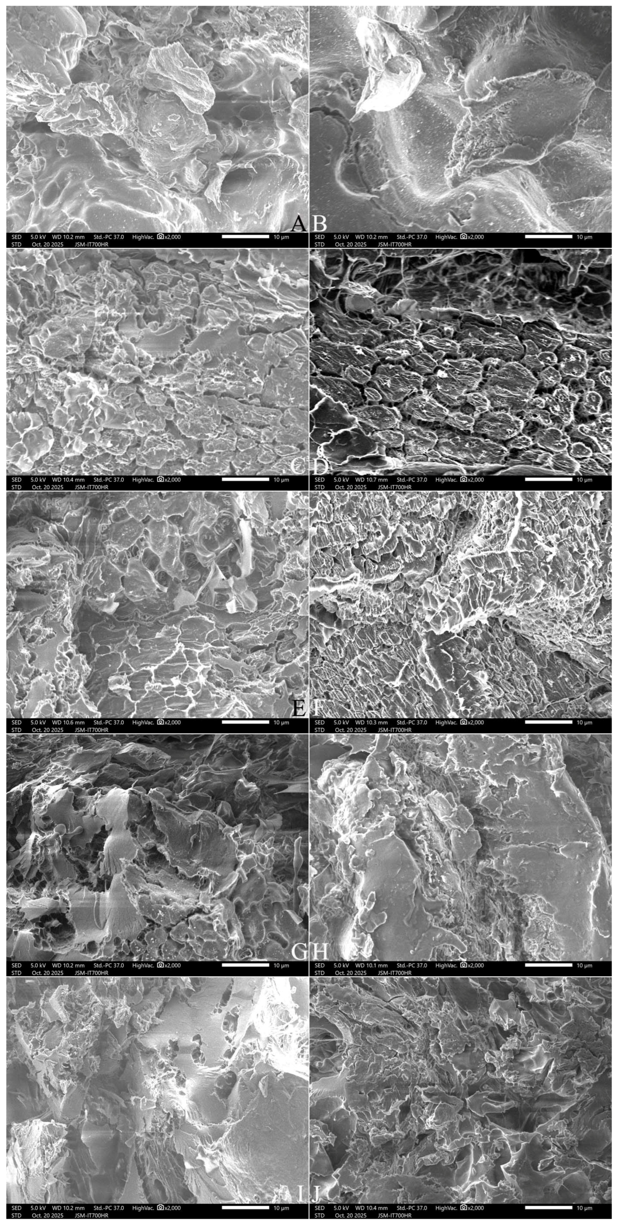Gels 12 00516 g007 Gels 12 00516 g007