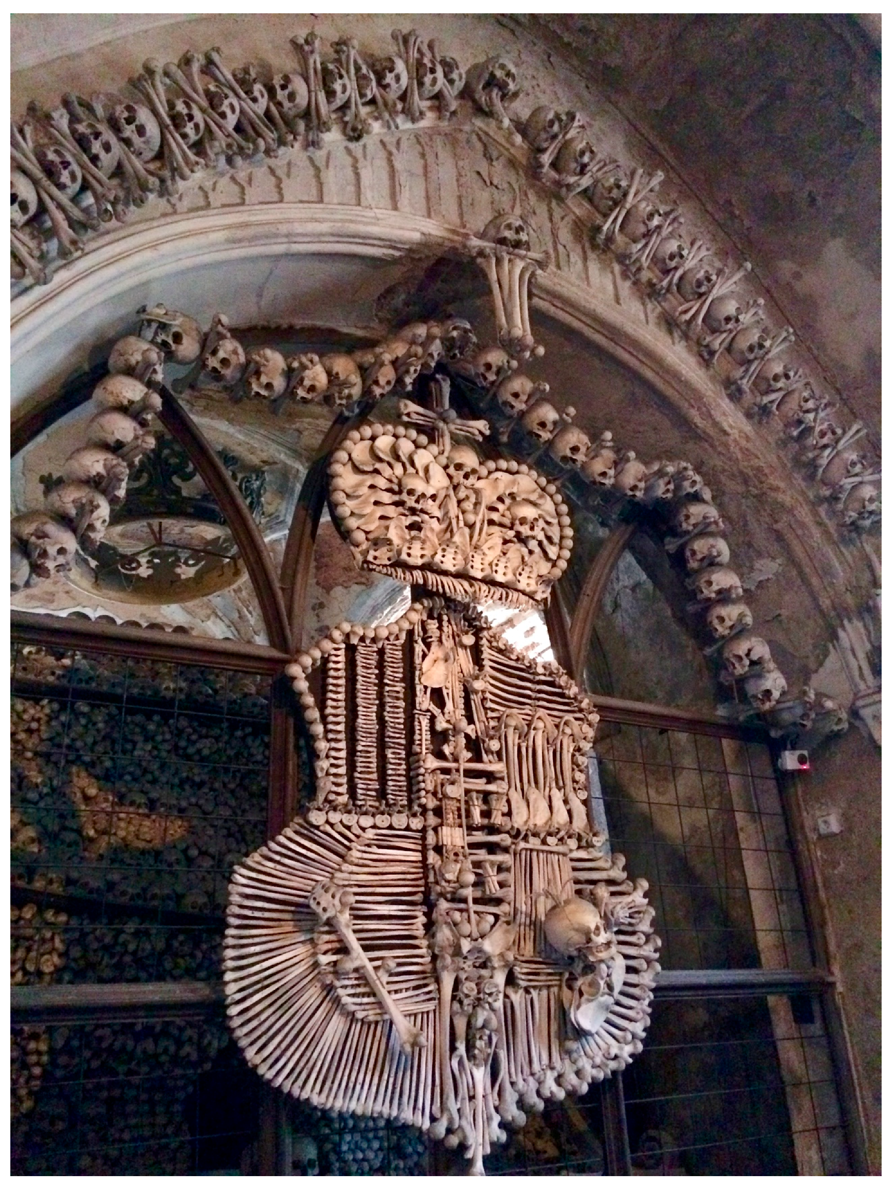 Genealogy 02 00022 g001