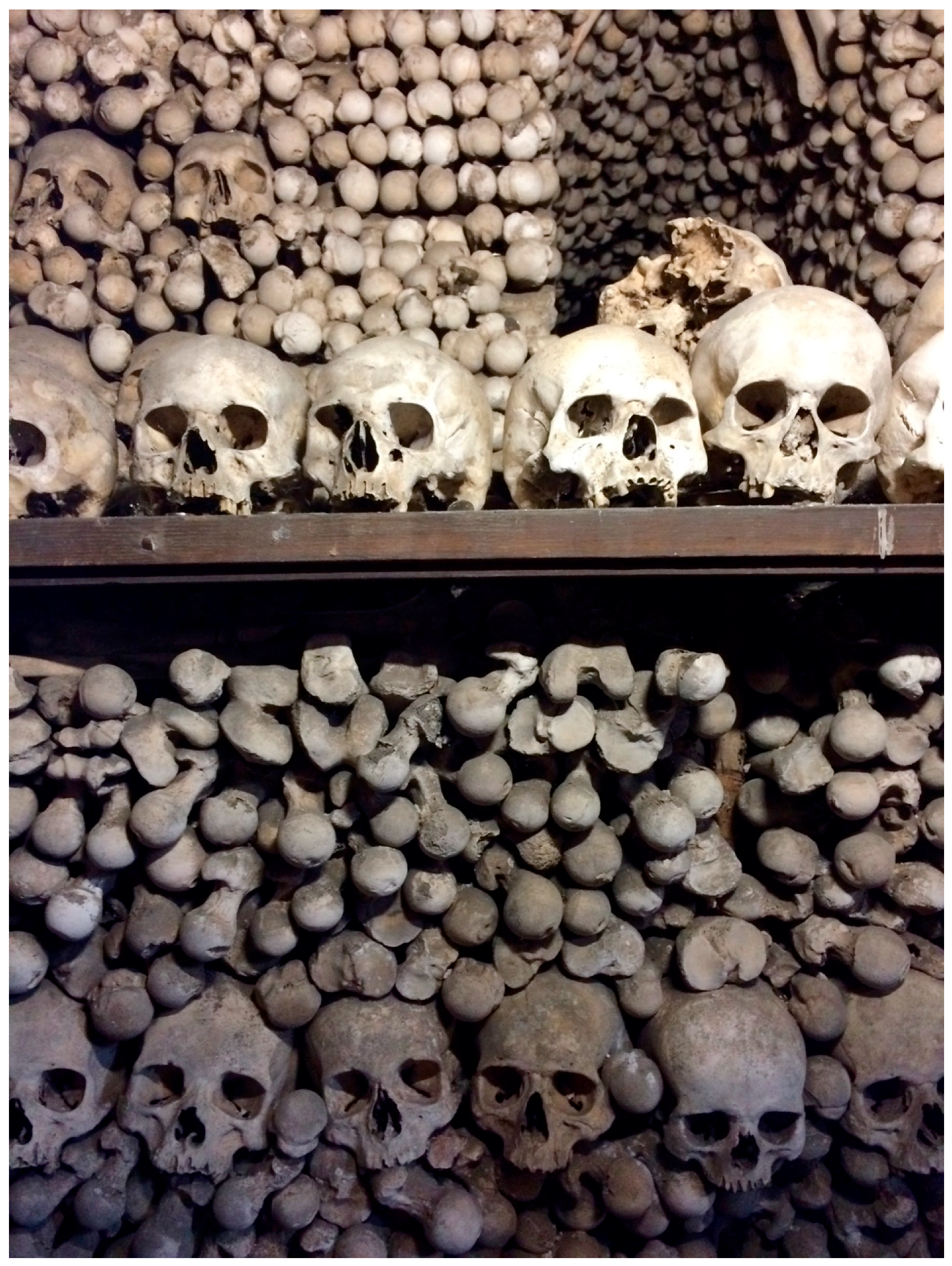 Genealogy 02 00022 g002