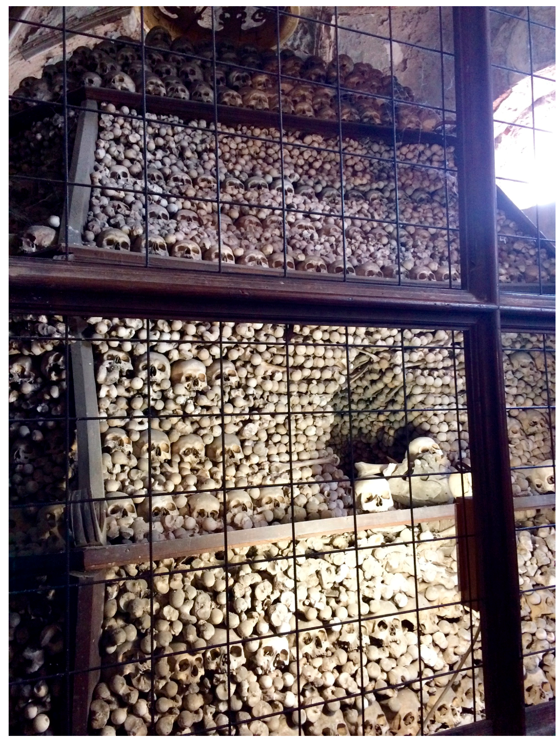 Genealogy 02 00022 g003