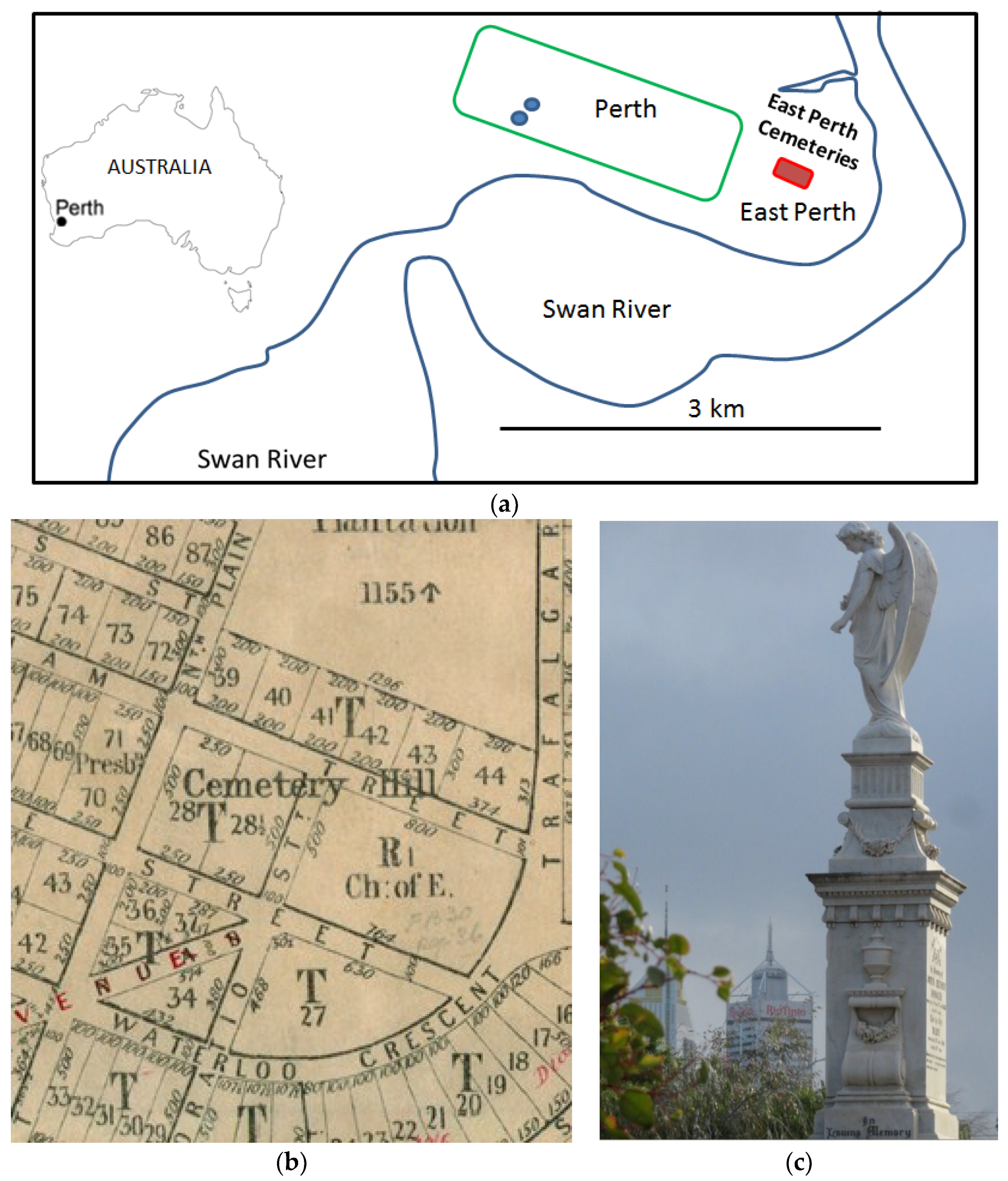 Genealogy 02 00023 g001