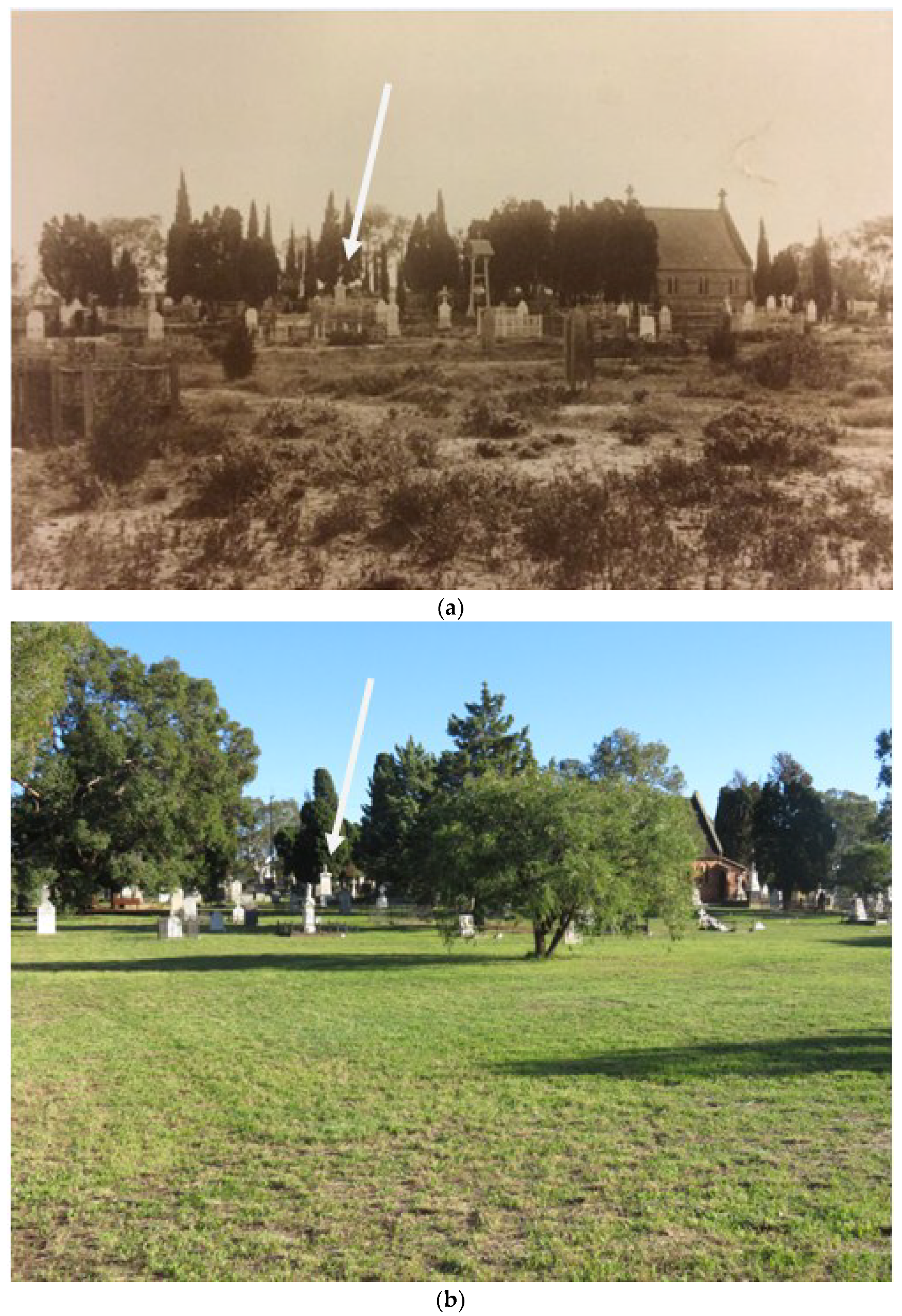 Genealogy 02 00023 g004