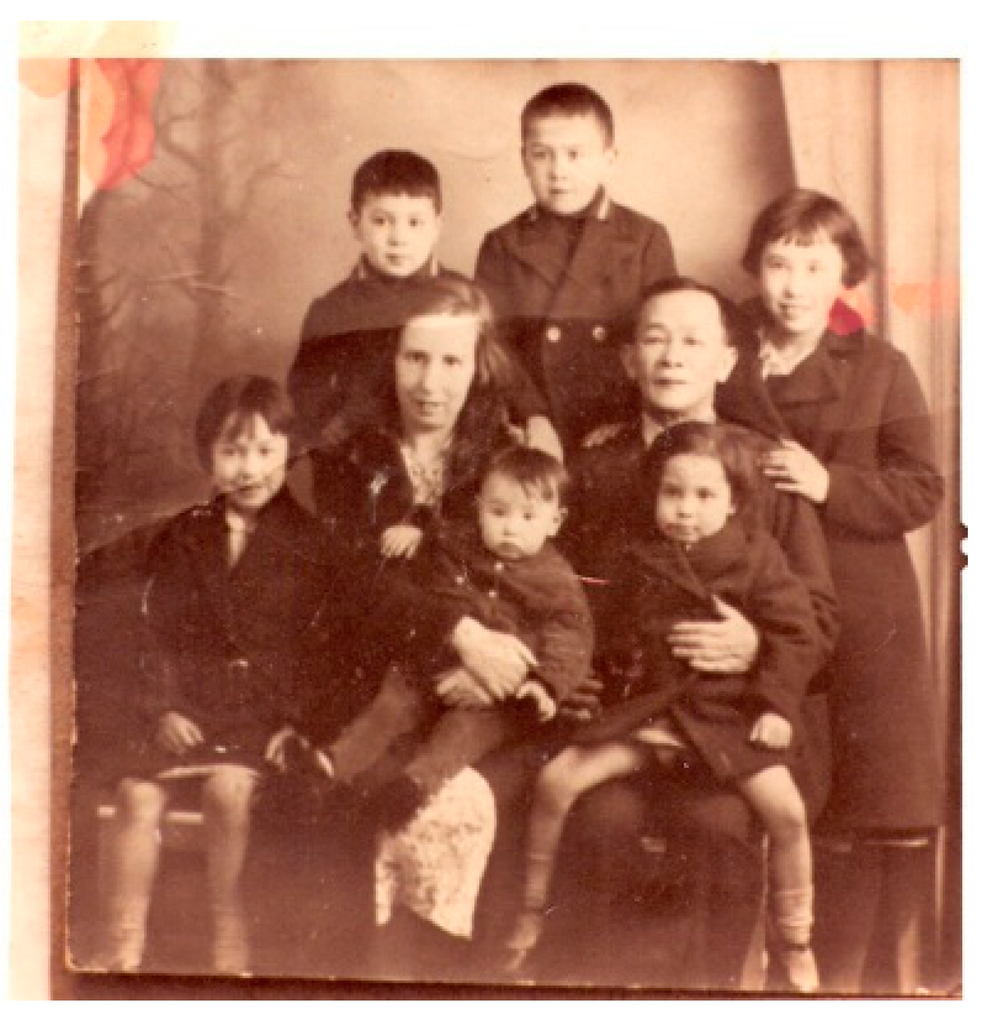 Genealogy 03 00021 g013