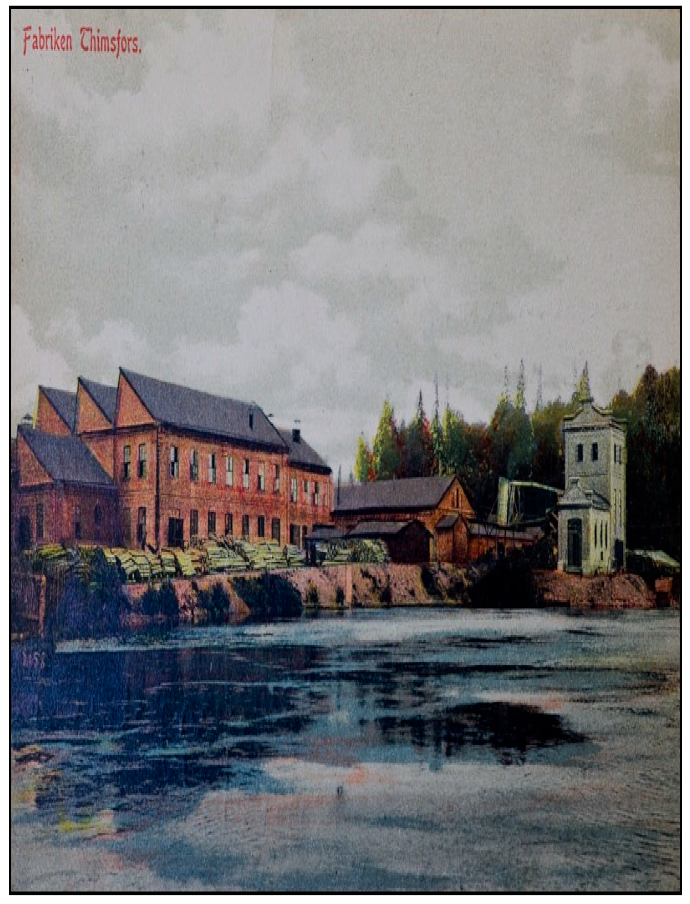 Genealogy 03 00025 g001