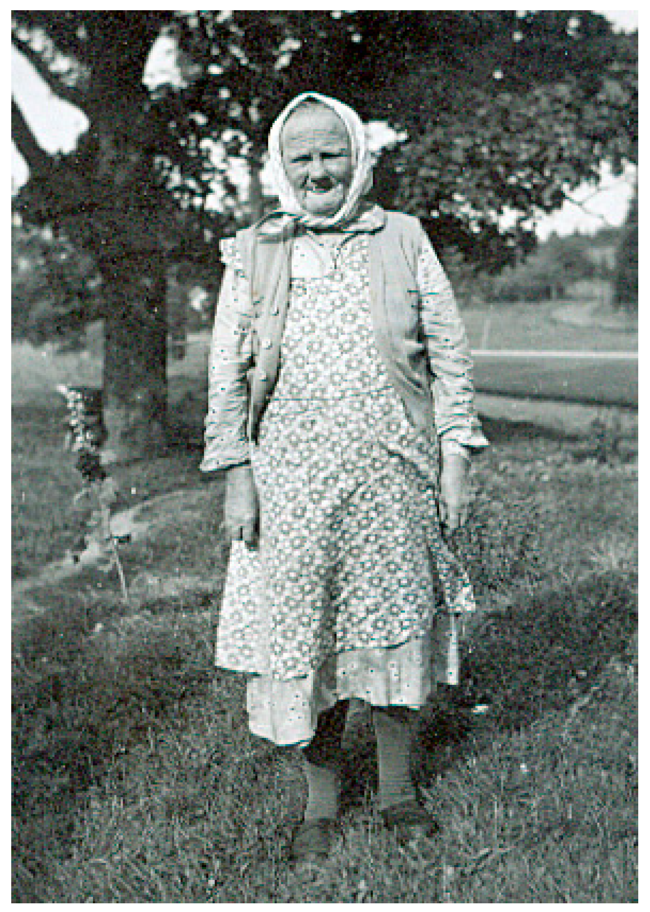 Genealogy 03 00025 g002