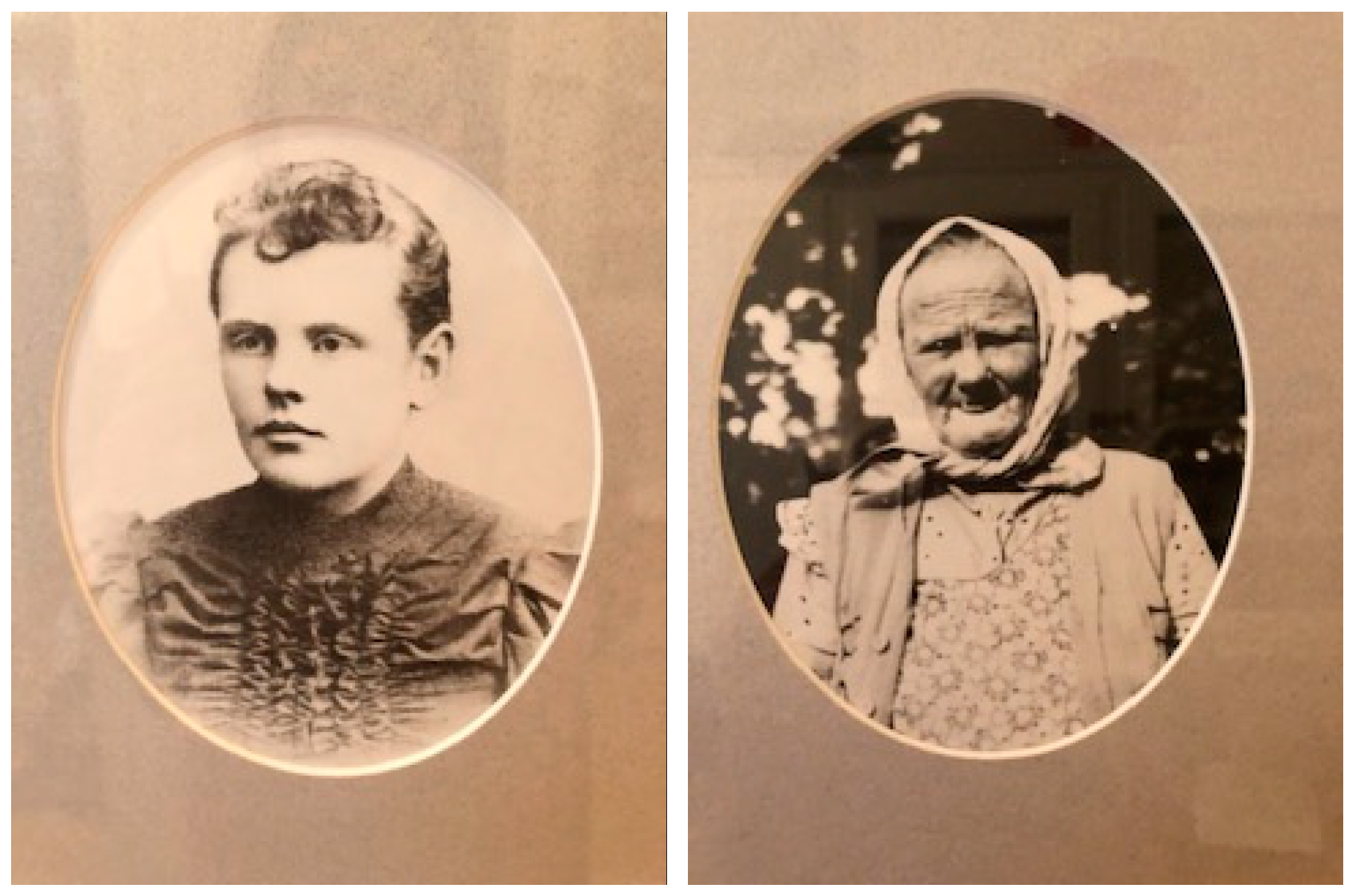 Genealogy 03 00025 g005