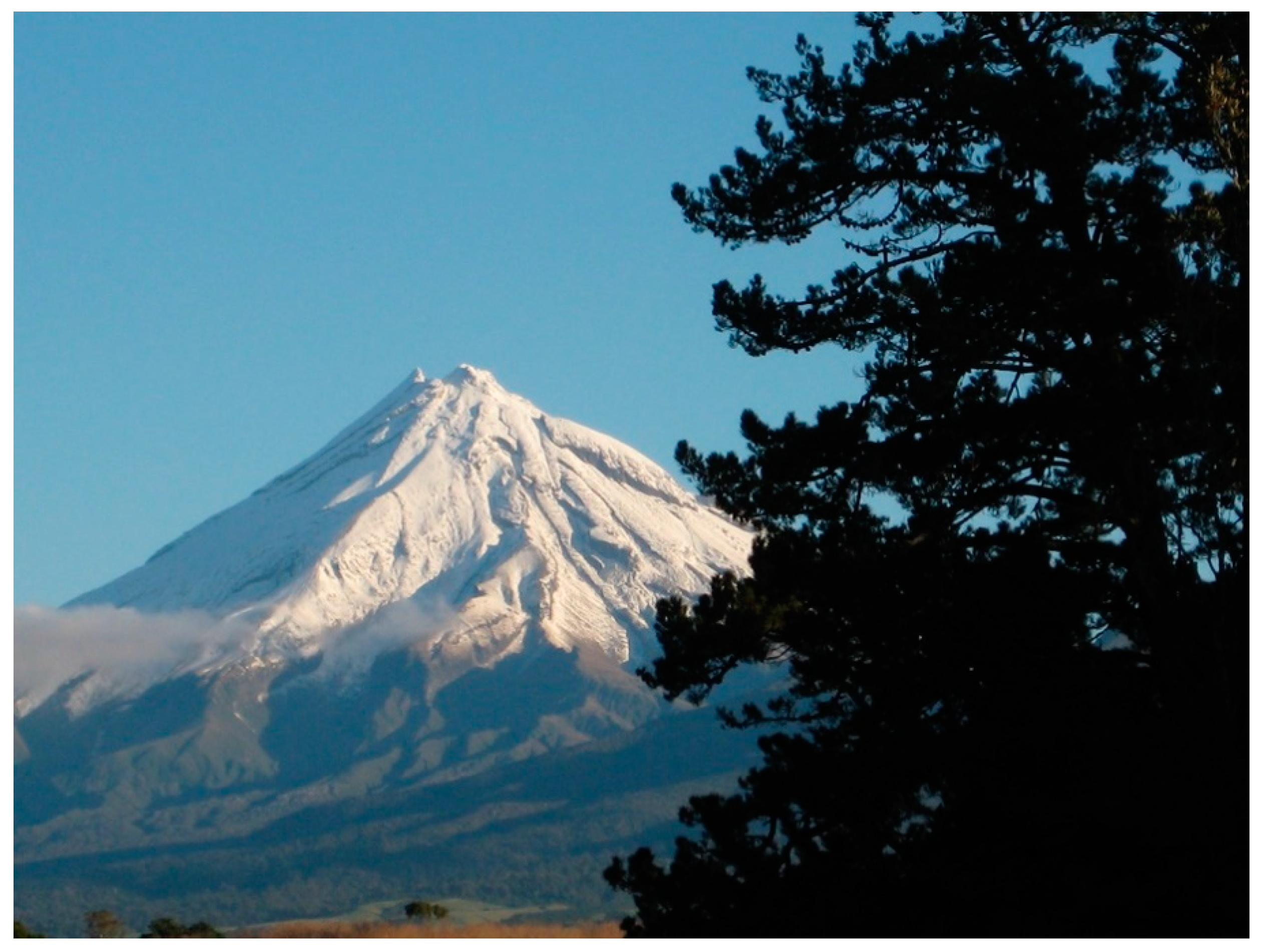 Genealogy 03 00073 g001