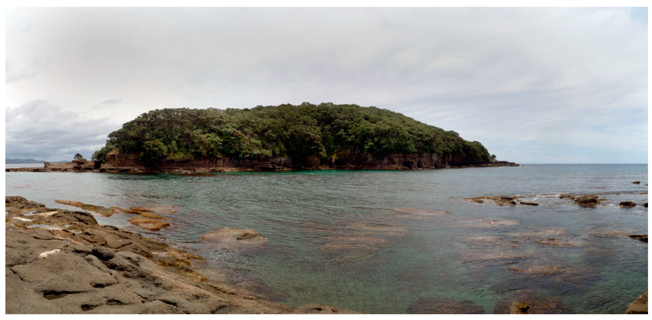 Genealogy 03 00073 g002