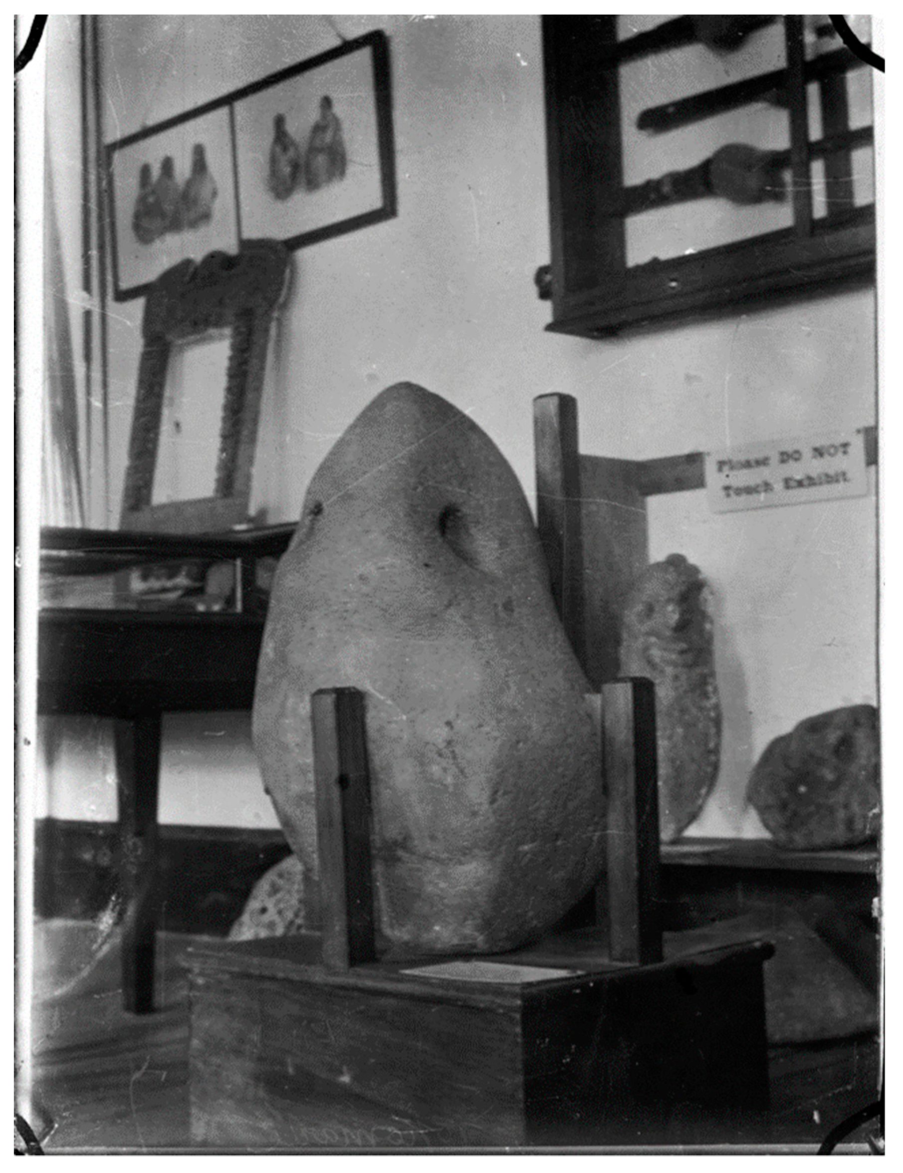 Genealogy 03 00073 g003