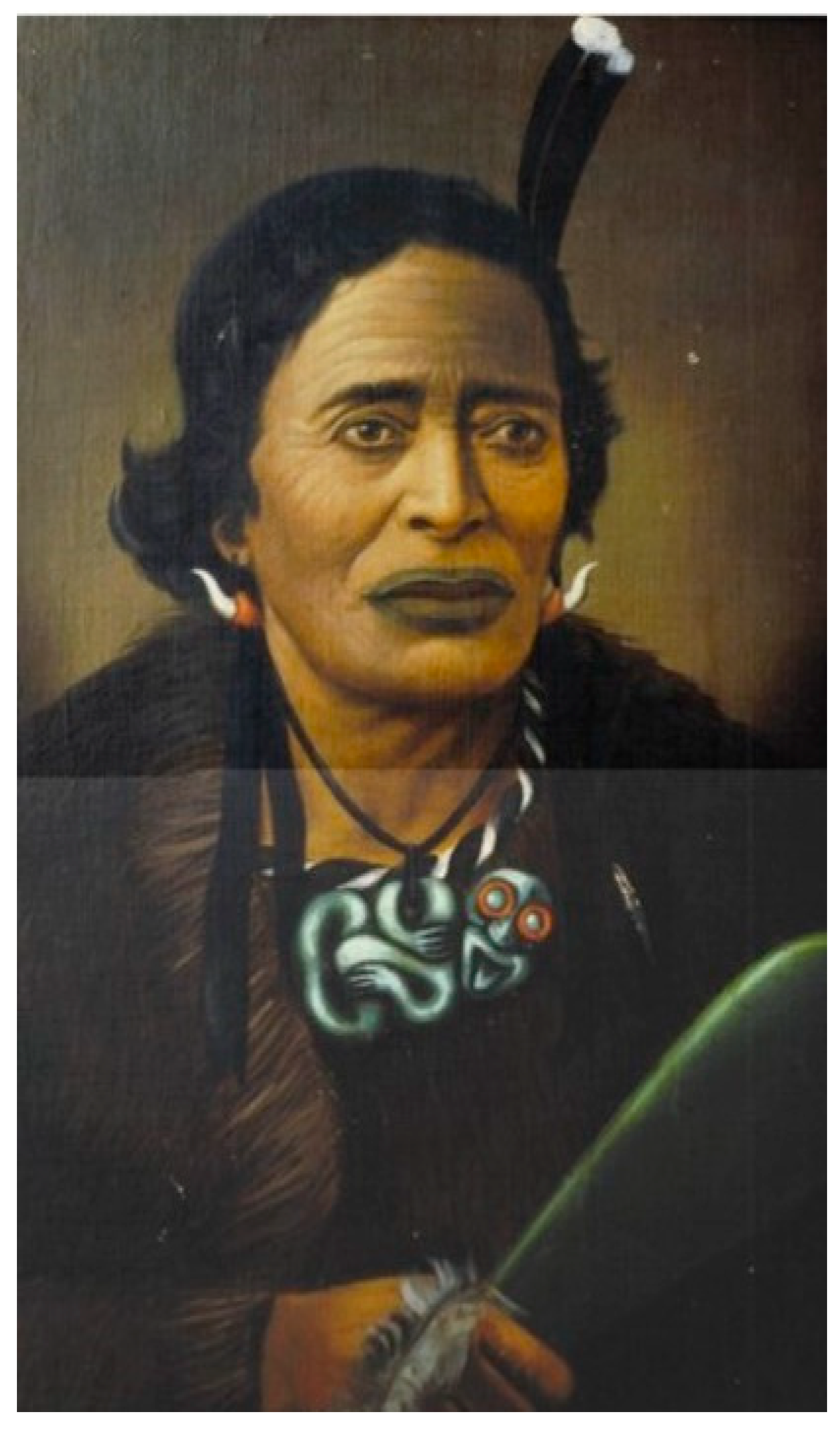 Genealogy 03 00073 g005