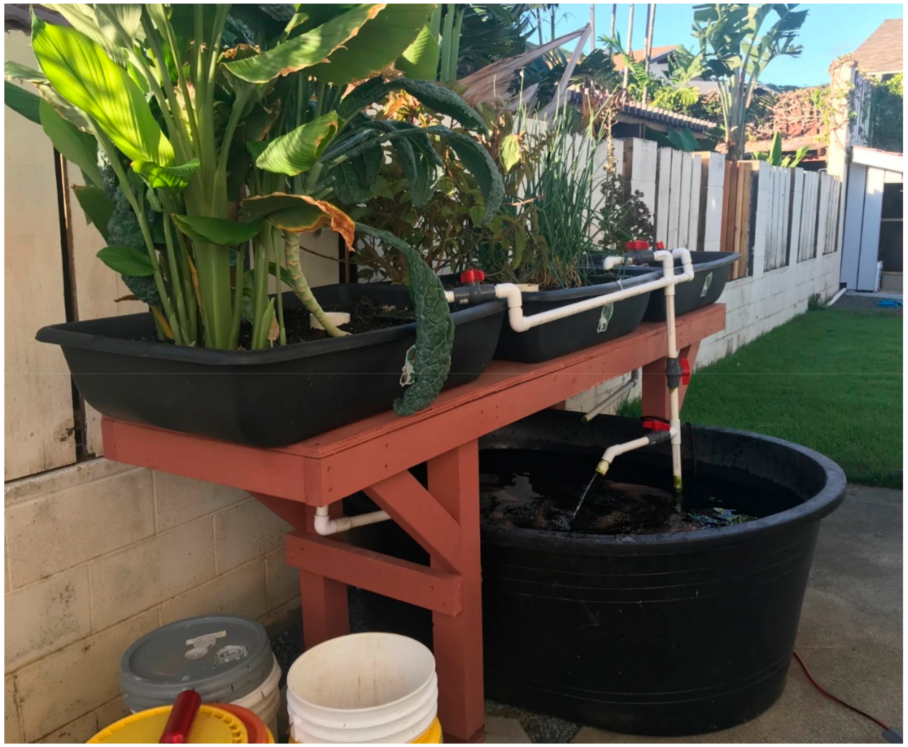 Genealogy 04 00009 g001 Genealogy 04 00009 g001