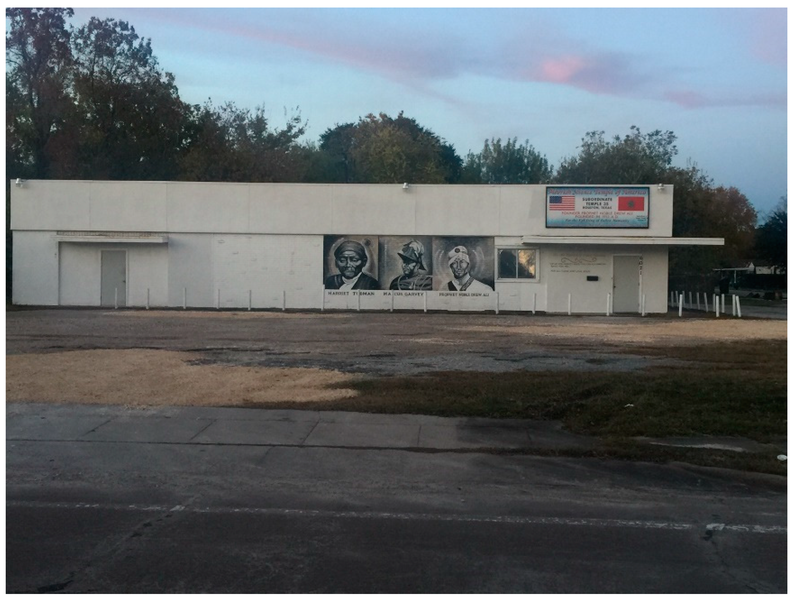 Genealogy 04 00033 g002