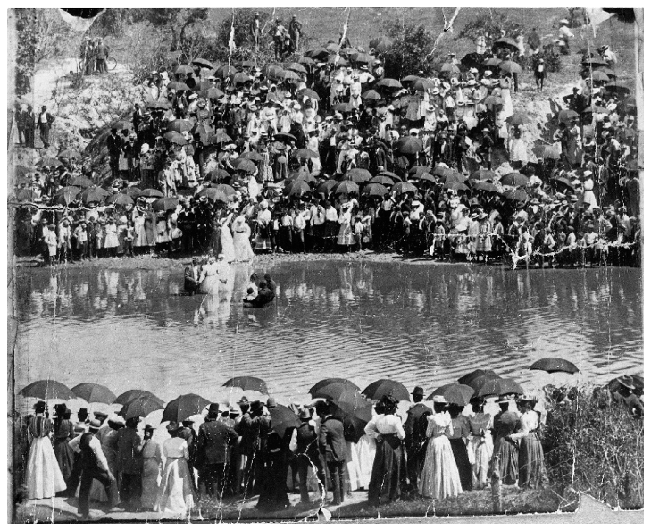 Genealogy 04 00033 g005