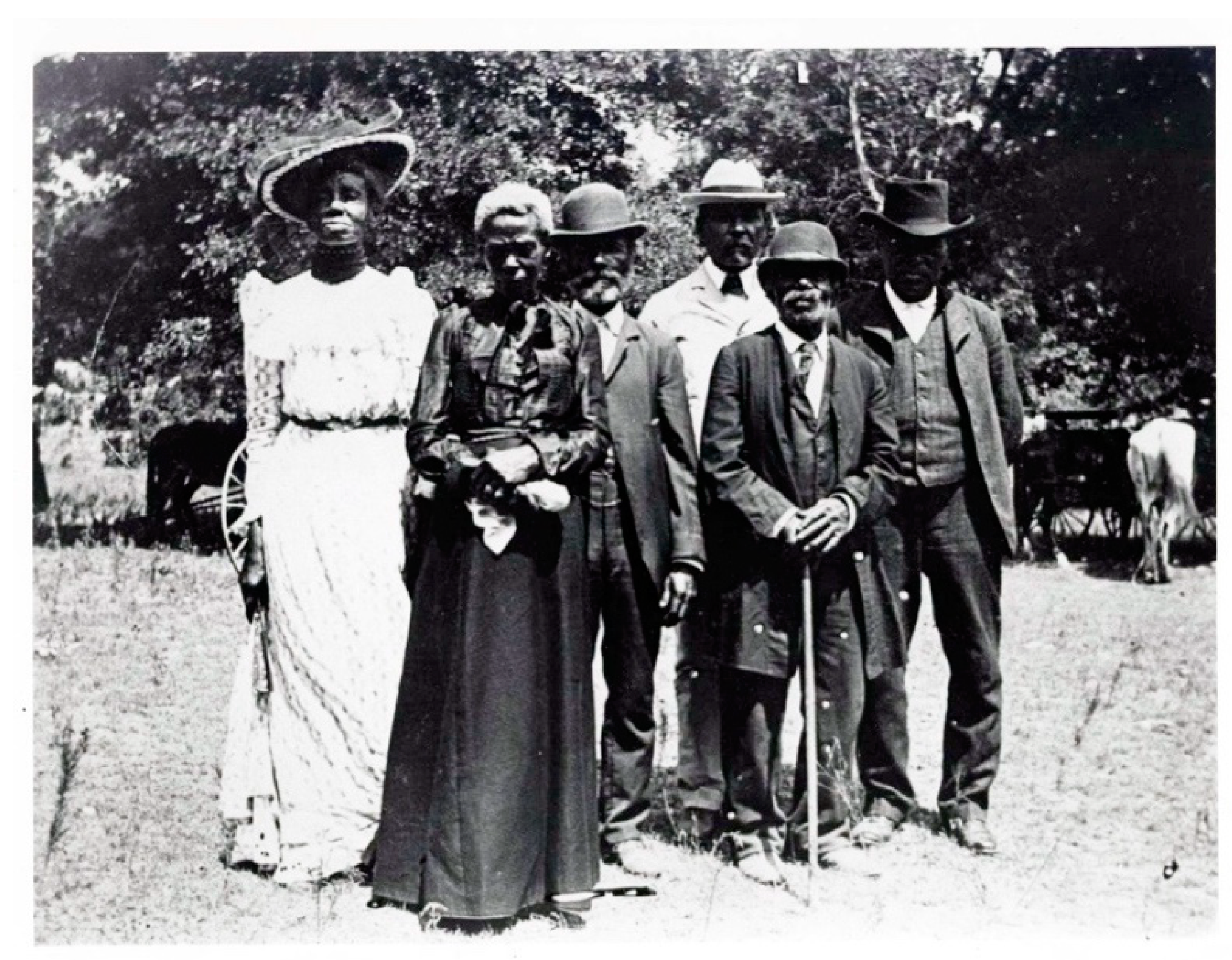 Genealogy 04 00033 g006