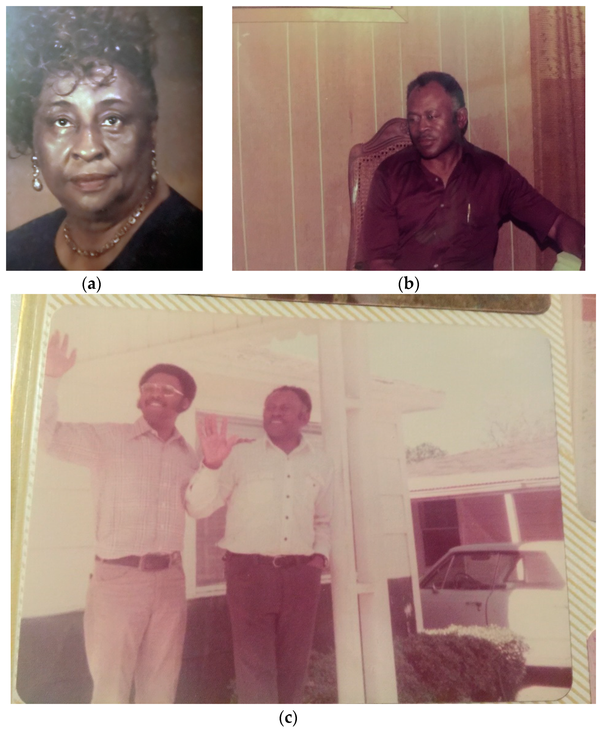 Genealogy 04 00033 g009