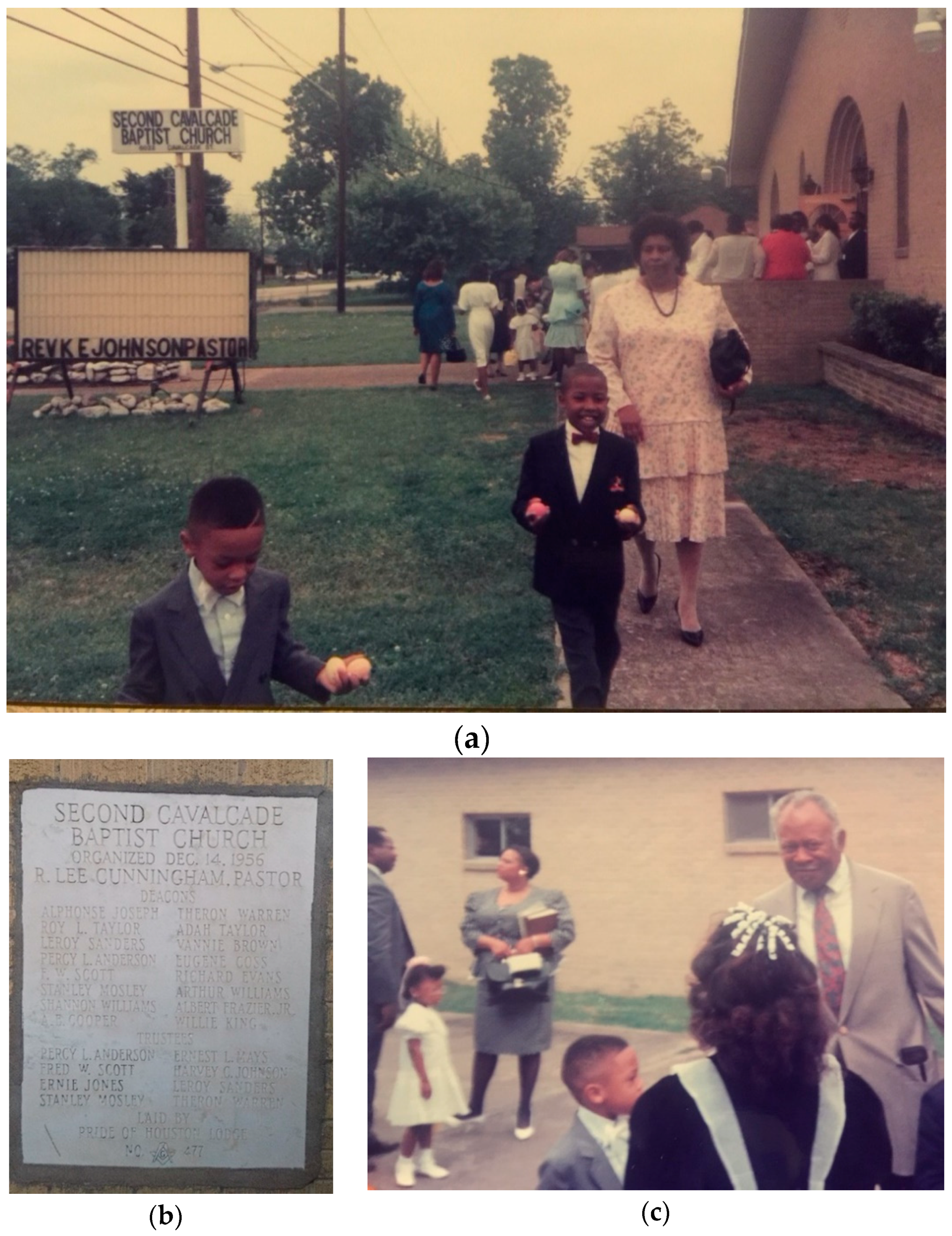 Genealogy 04 00033 g012