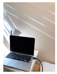 Genealogy 04 00042 i001