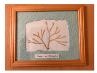 Genealogy 04 00042 i003