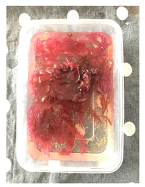 Genealogy 04 00042 i008