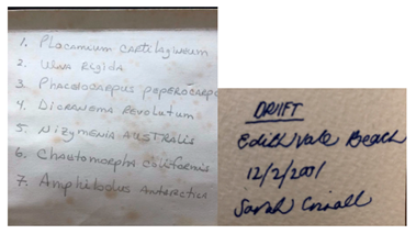 Genealogy 04 00042 i013