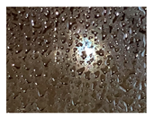 Genealogy 04 00042 i014