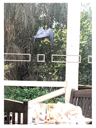 Genealogy 04 00042 i017