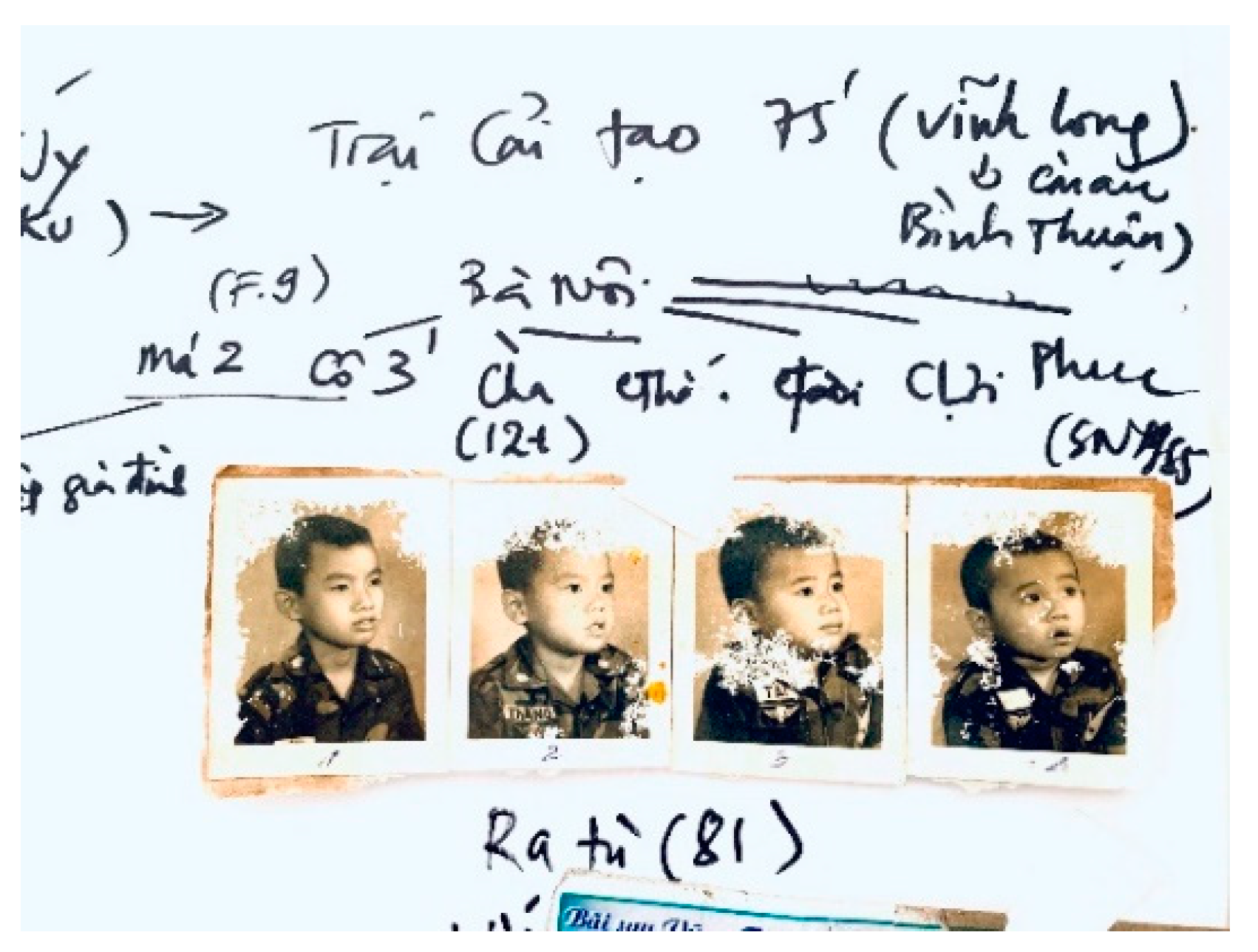 Genealogy 04 00067 g002