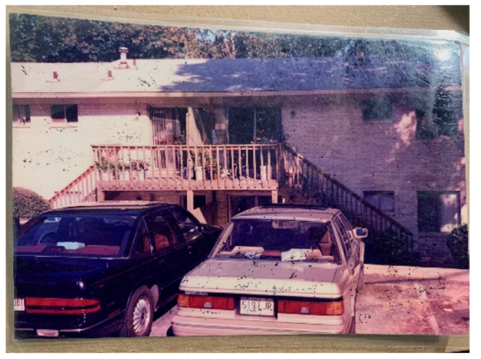 Genealogy 04 00067 g006