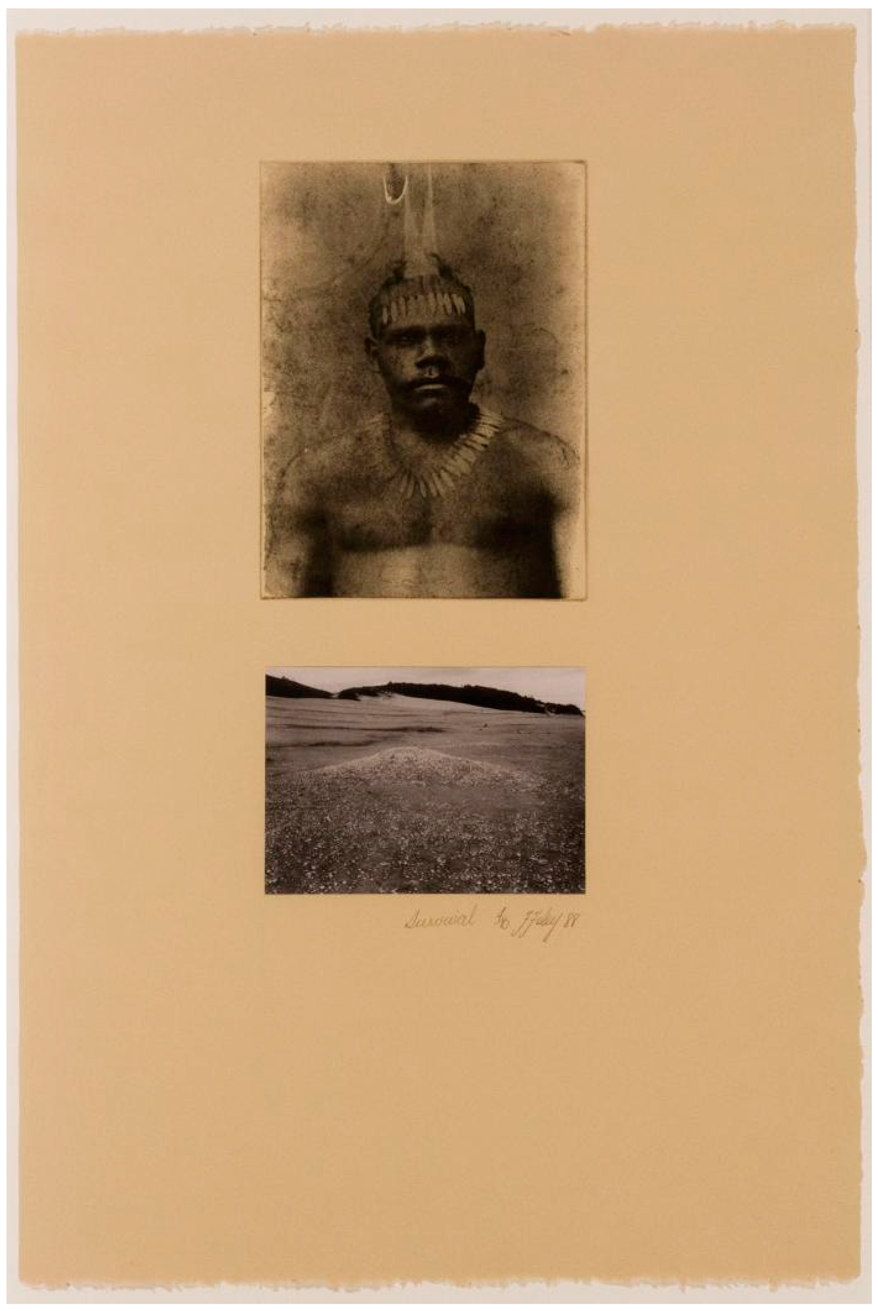 Genealogy 04 00074 g007