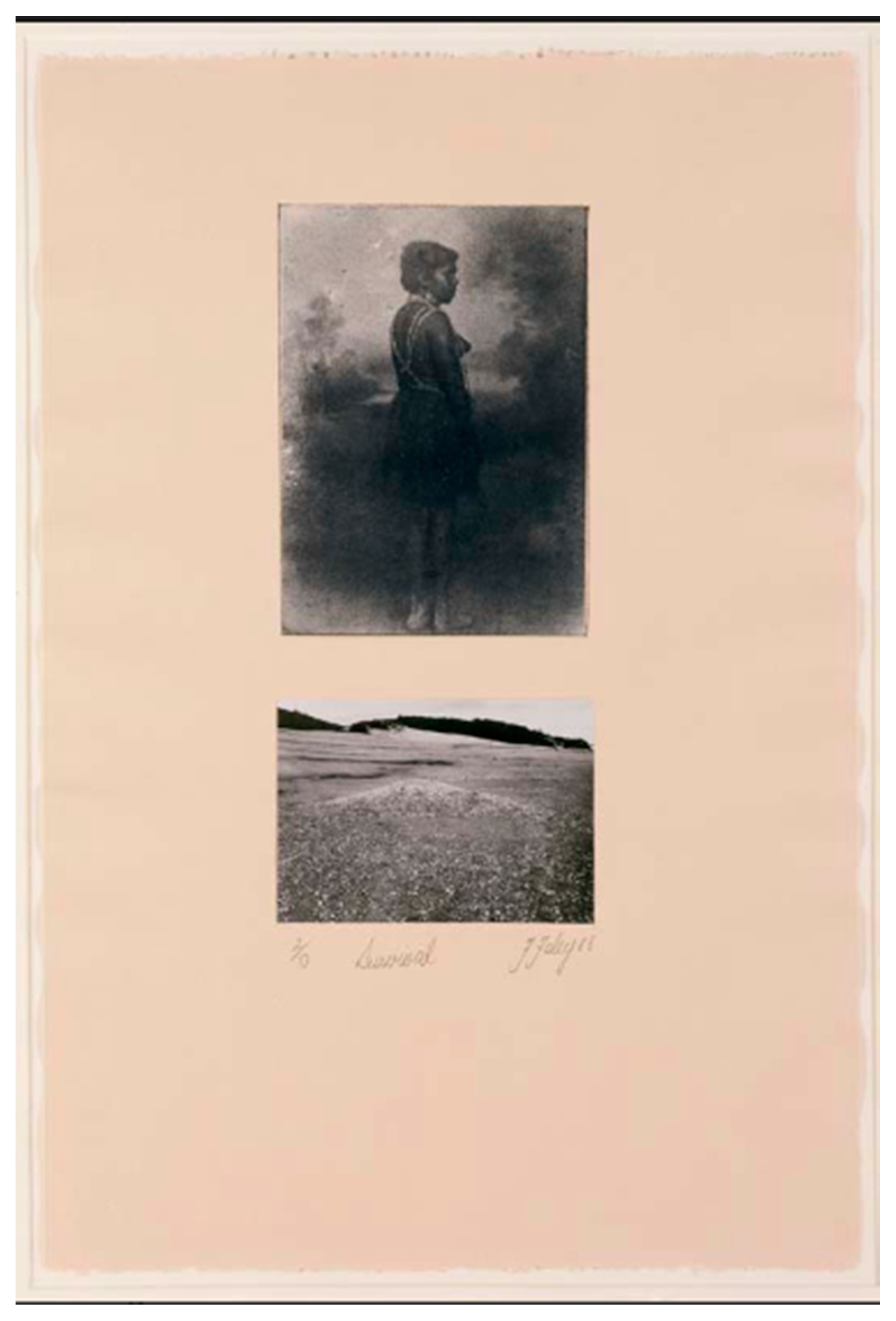 Genealogy 04 00076 g001