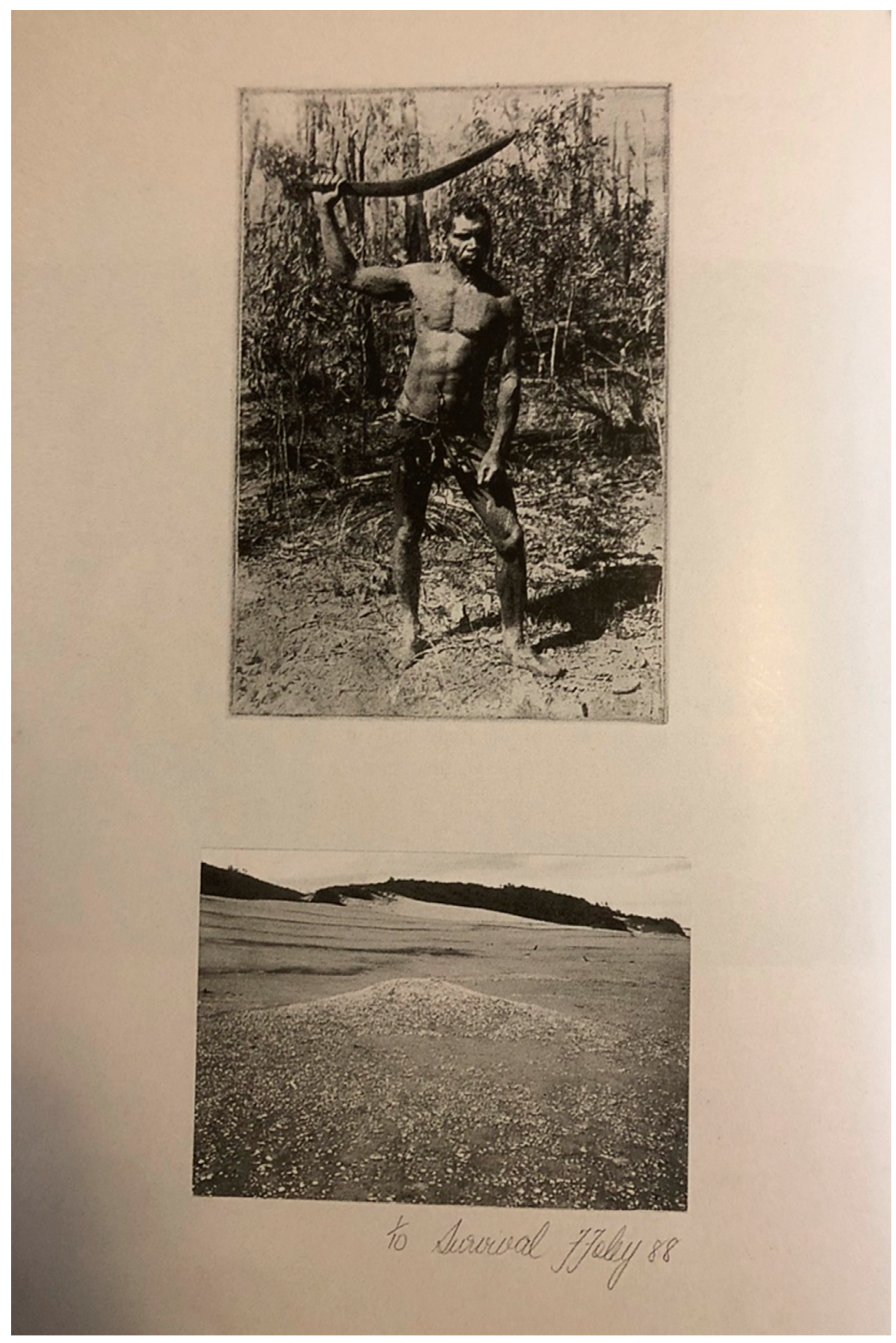 Genealogy 04 00076 g002