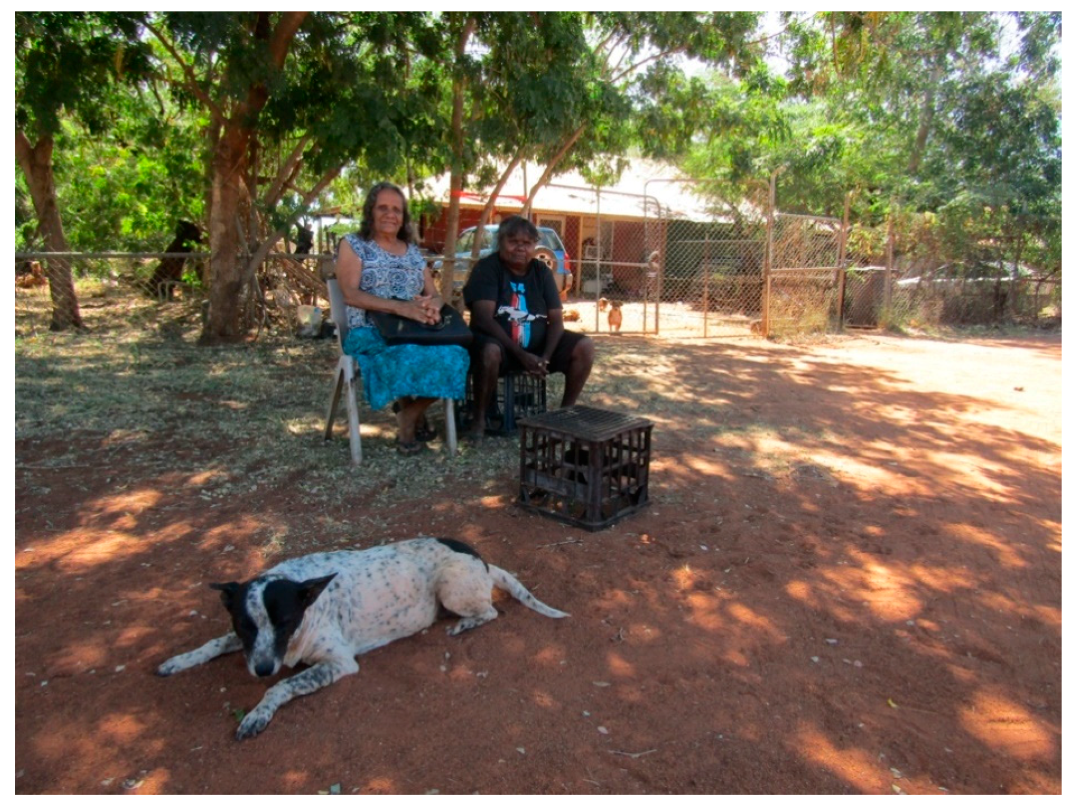 Genealogy 04 00095 g008