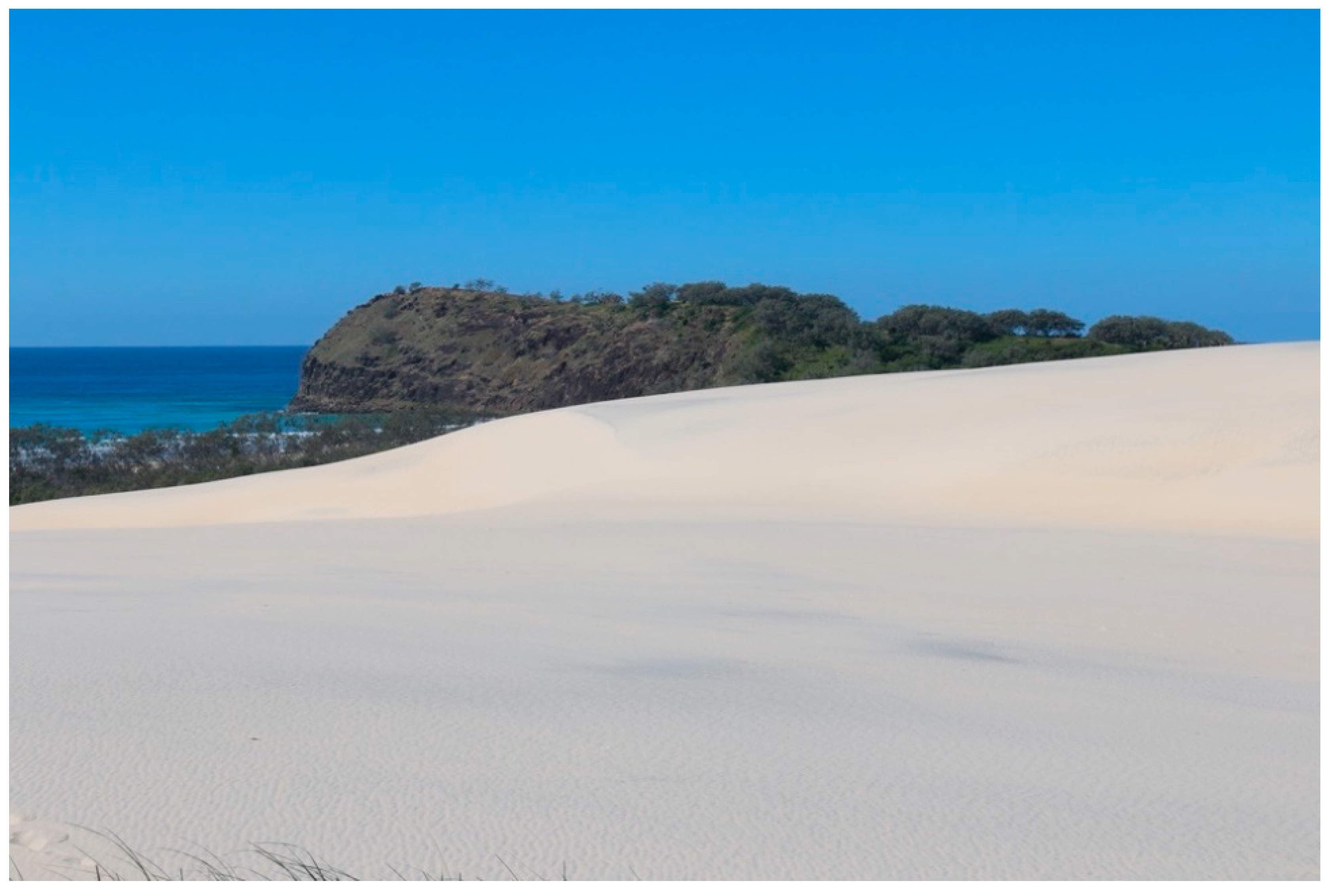 Genealogy 04 00095 g013