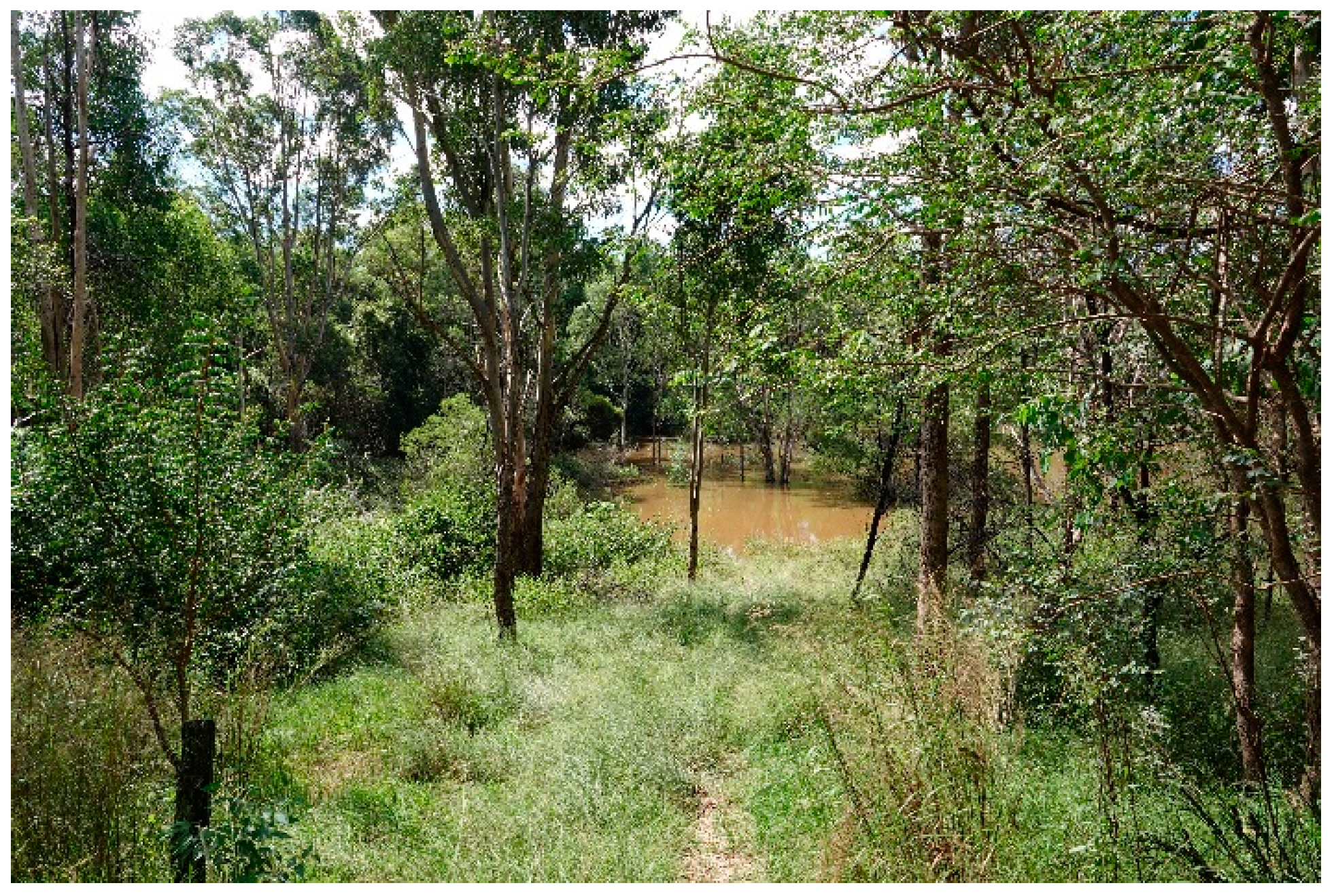 Genealogy 05 00048 g001