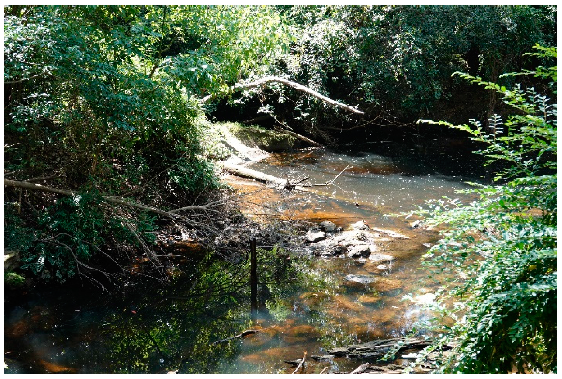 Genealogy 05 00048 g003