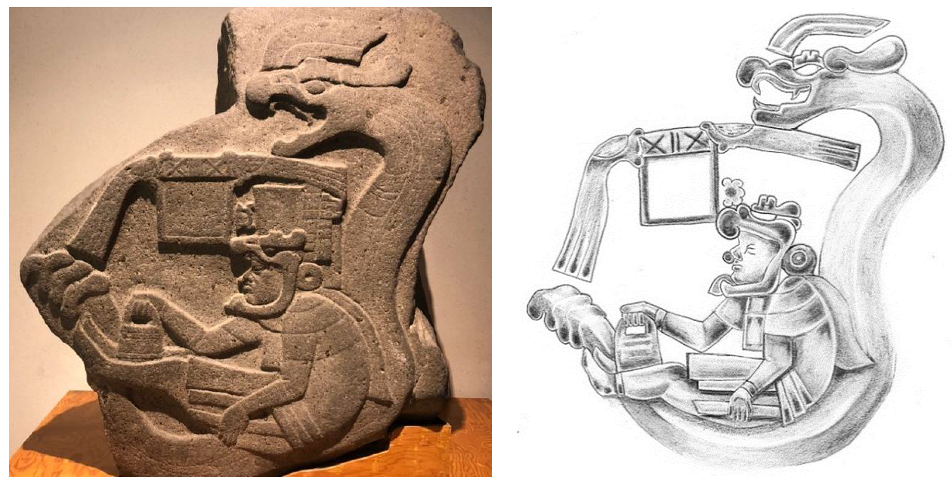 Genealogy 05 00053 g003