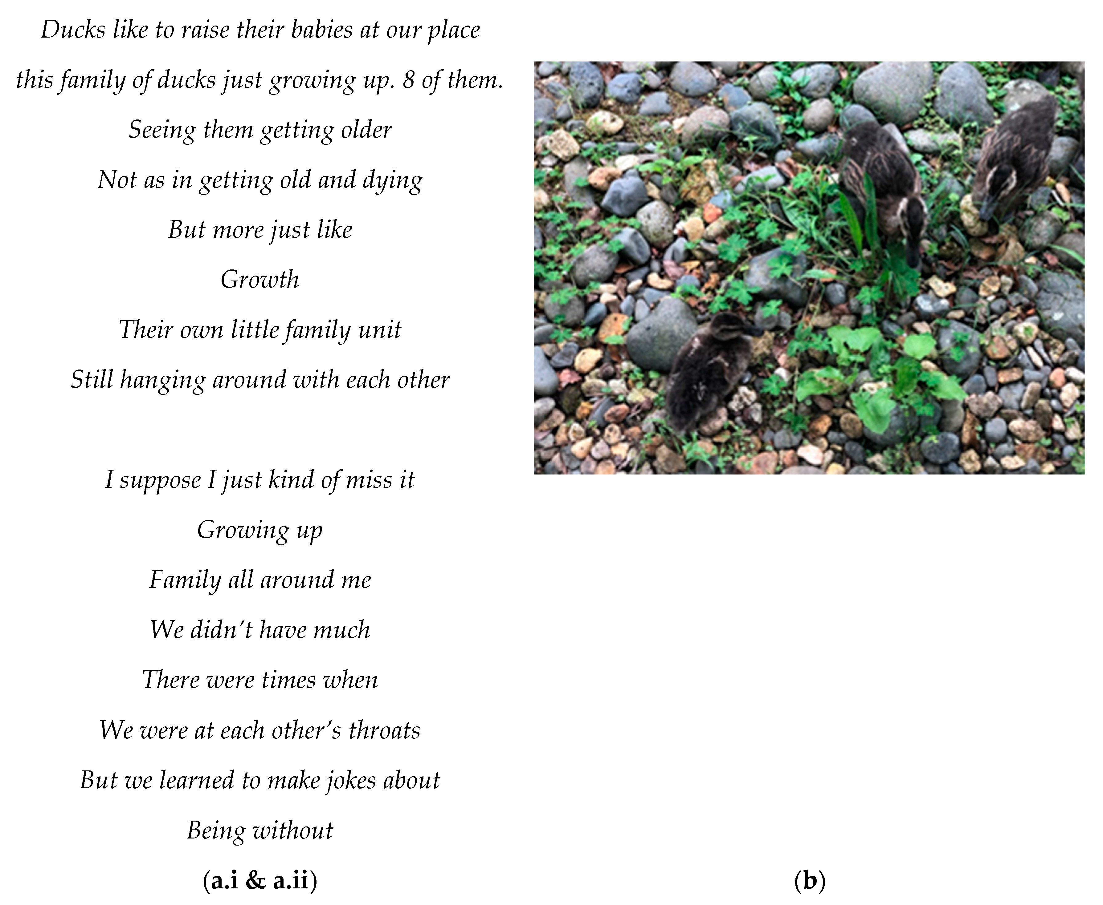 Genealogy 05 00054 g001