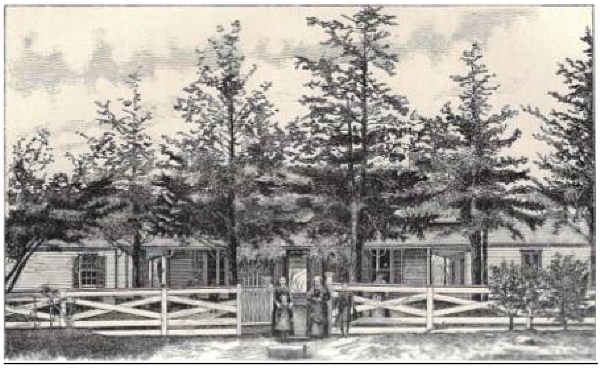 Genealogy 05 00064 g003