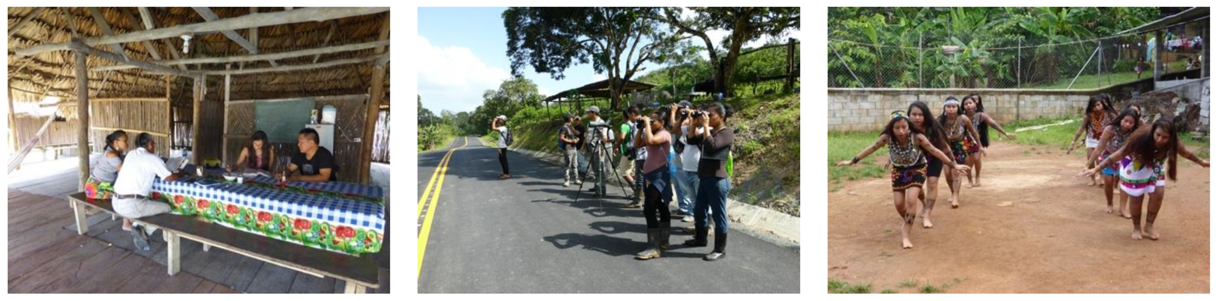 Genealogy 05 00091 g001