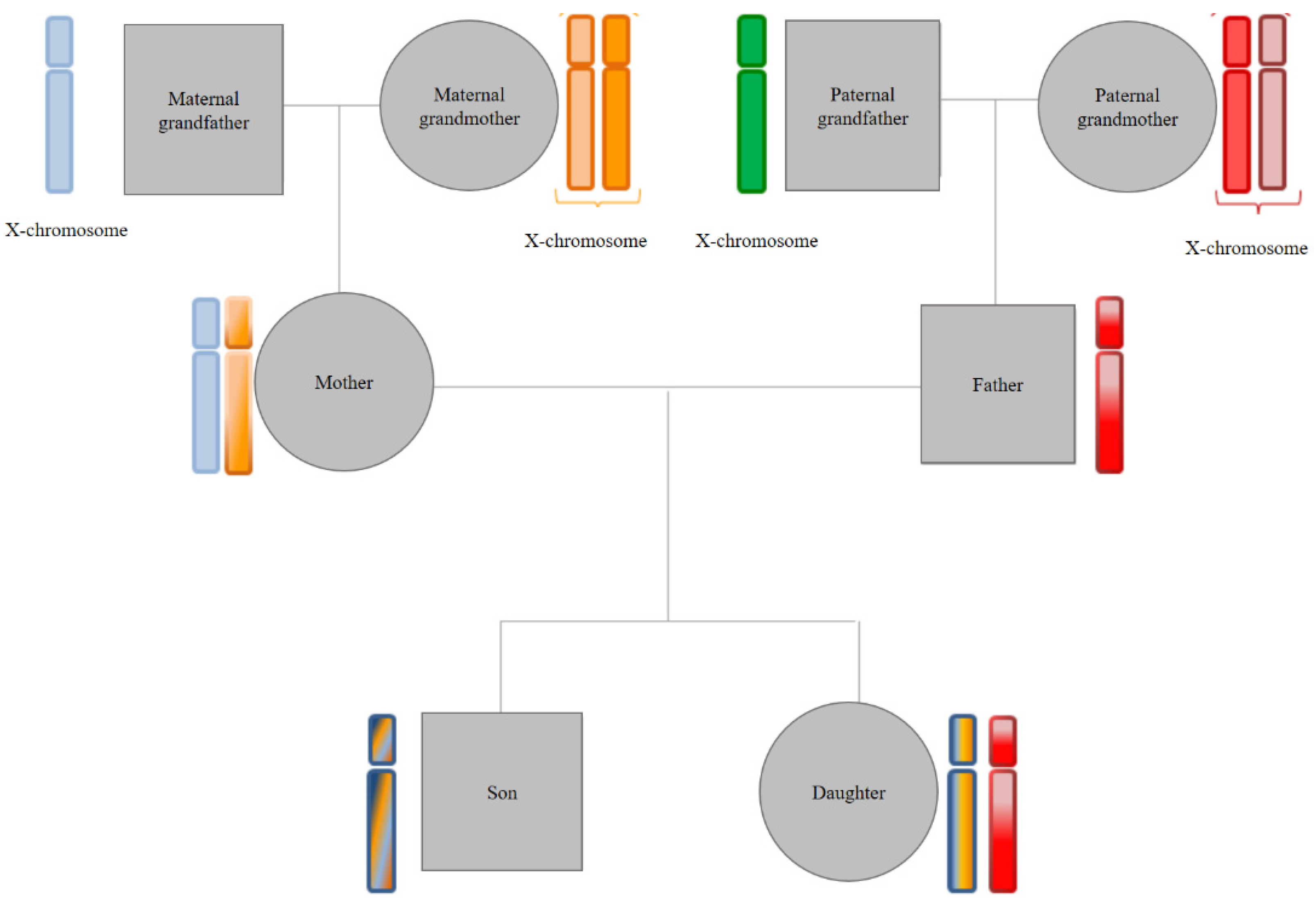 Genealogy 05 00098 g002 Genealogy 05 00098 g002